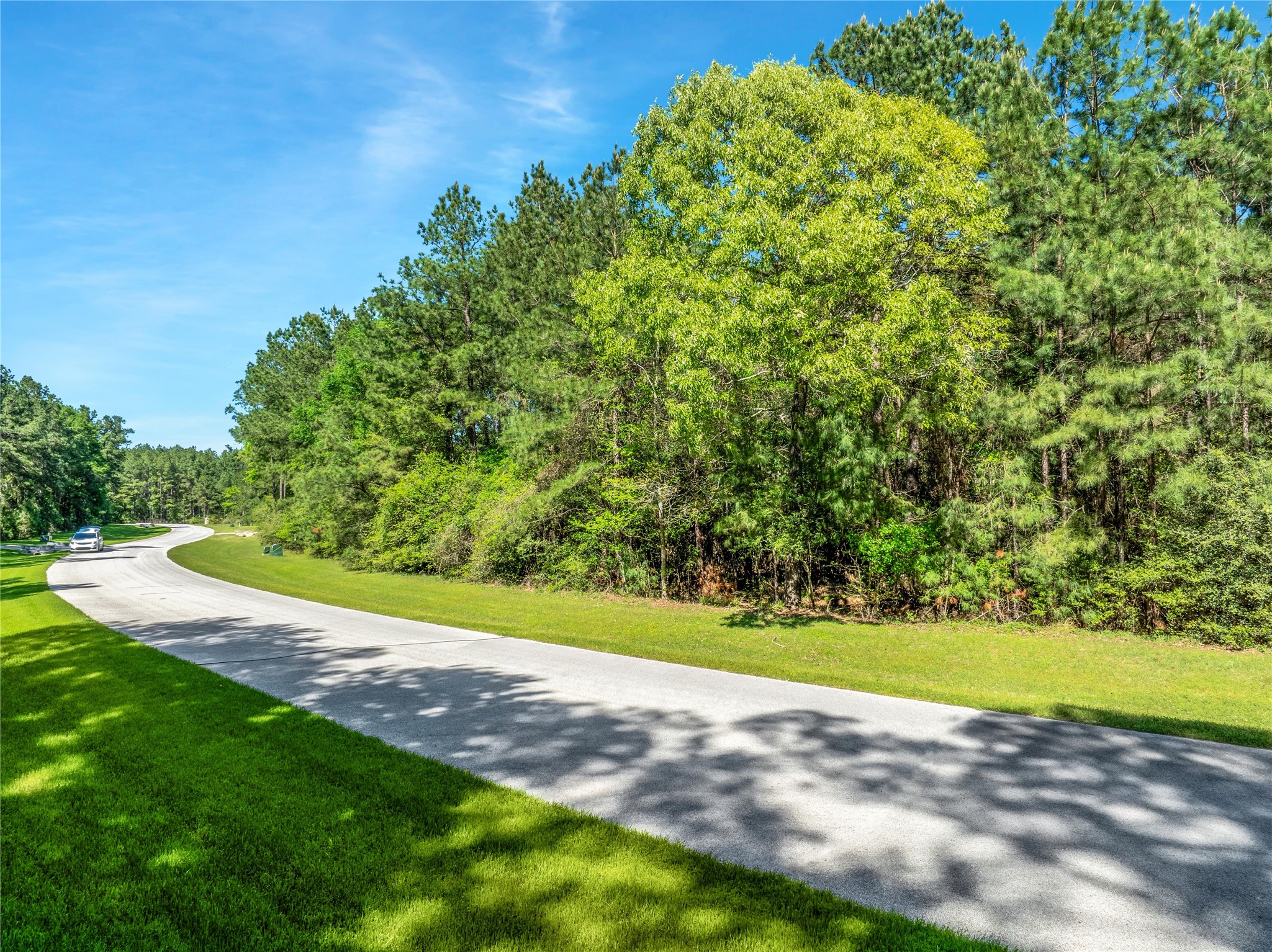 12627 Shady Woods Trail Property Photo 16