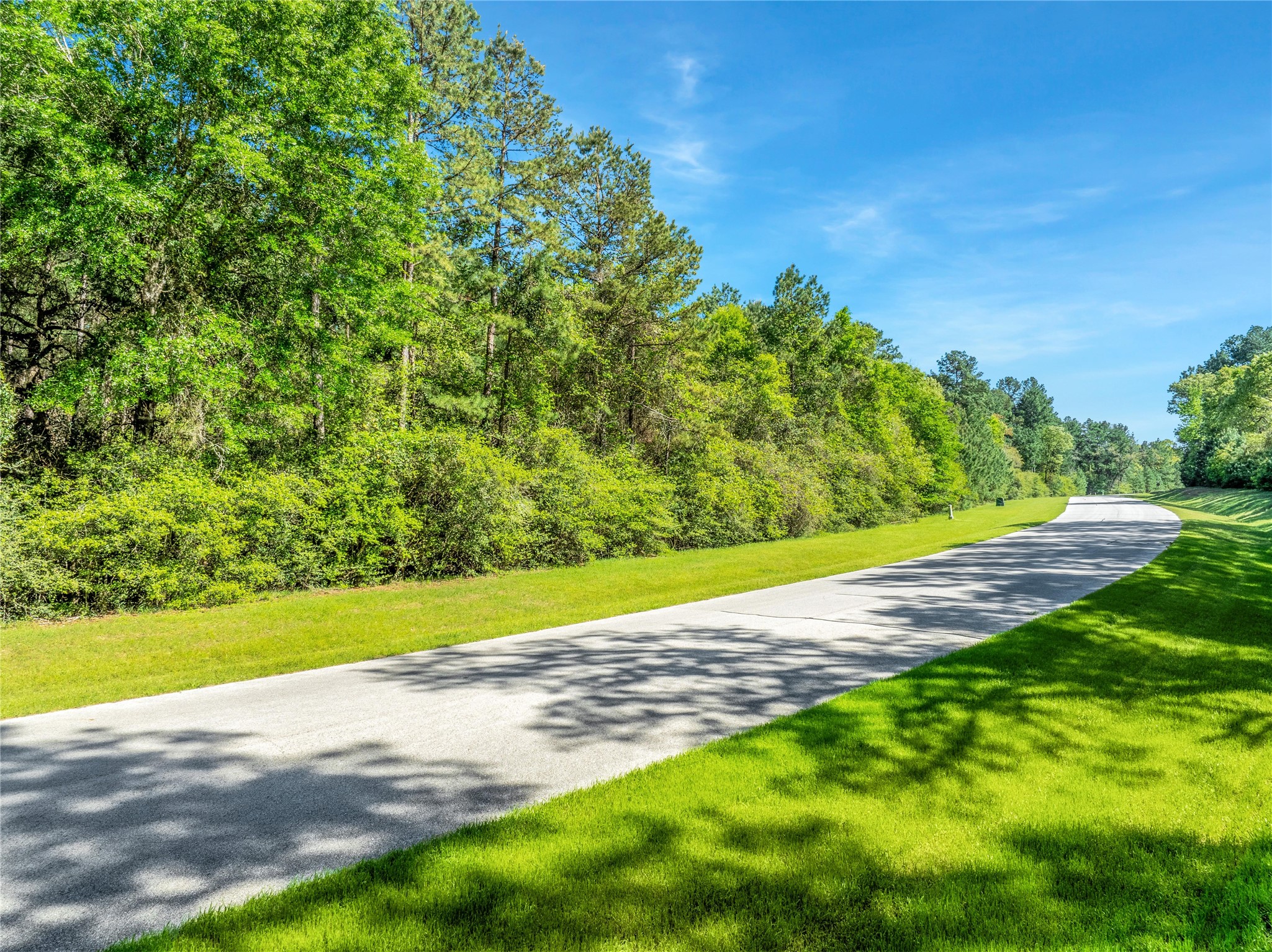 12627 Shady Woods Trail Property Photo 17