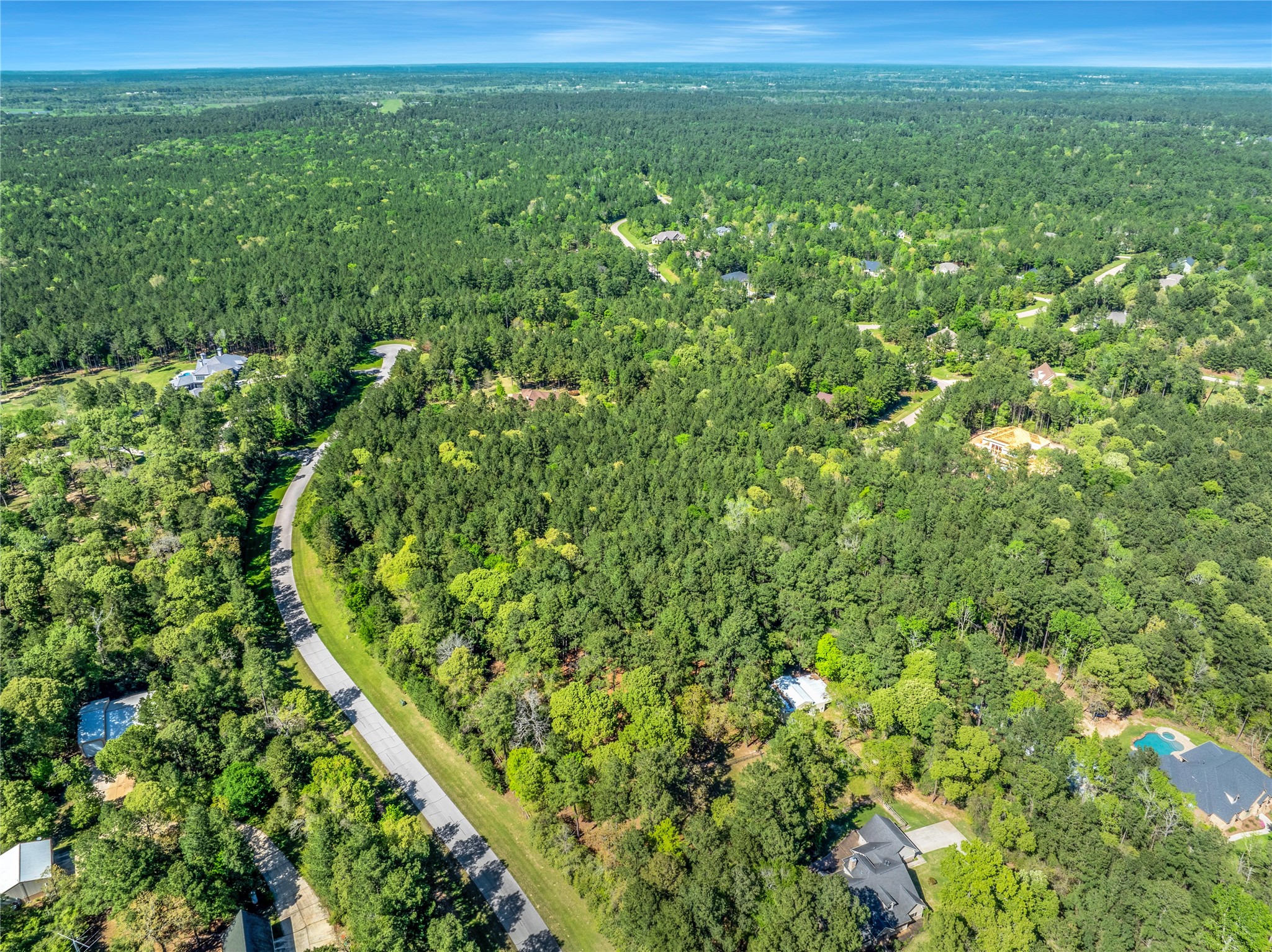 12627 Shady Woods Trail Property Photo 18