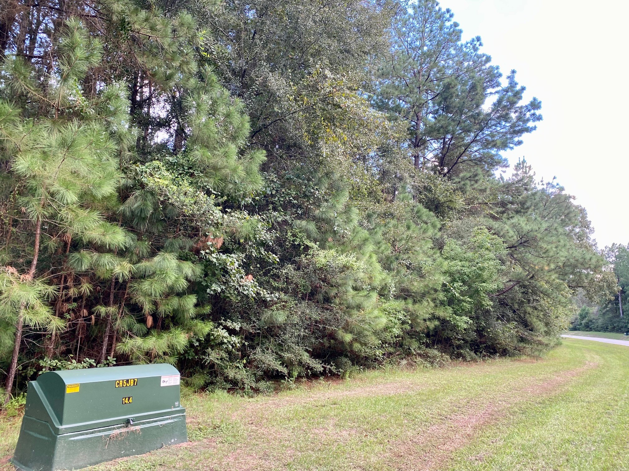 12627 Shady Woods Trail Property Photo 19