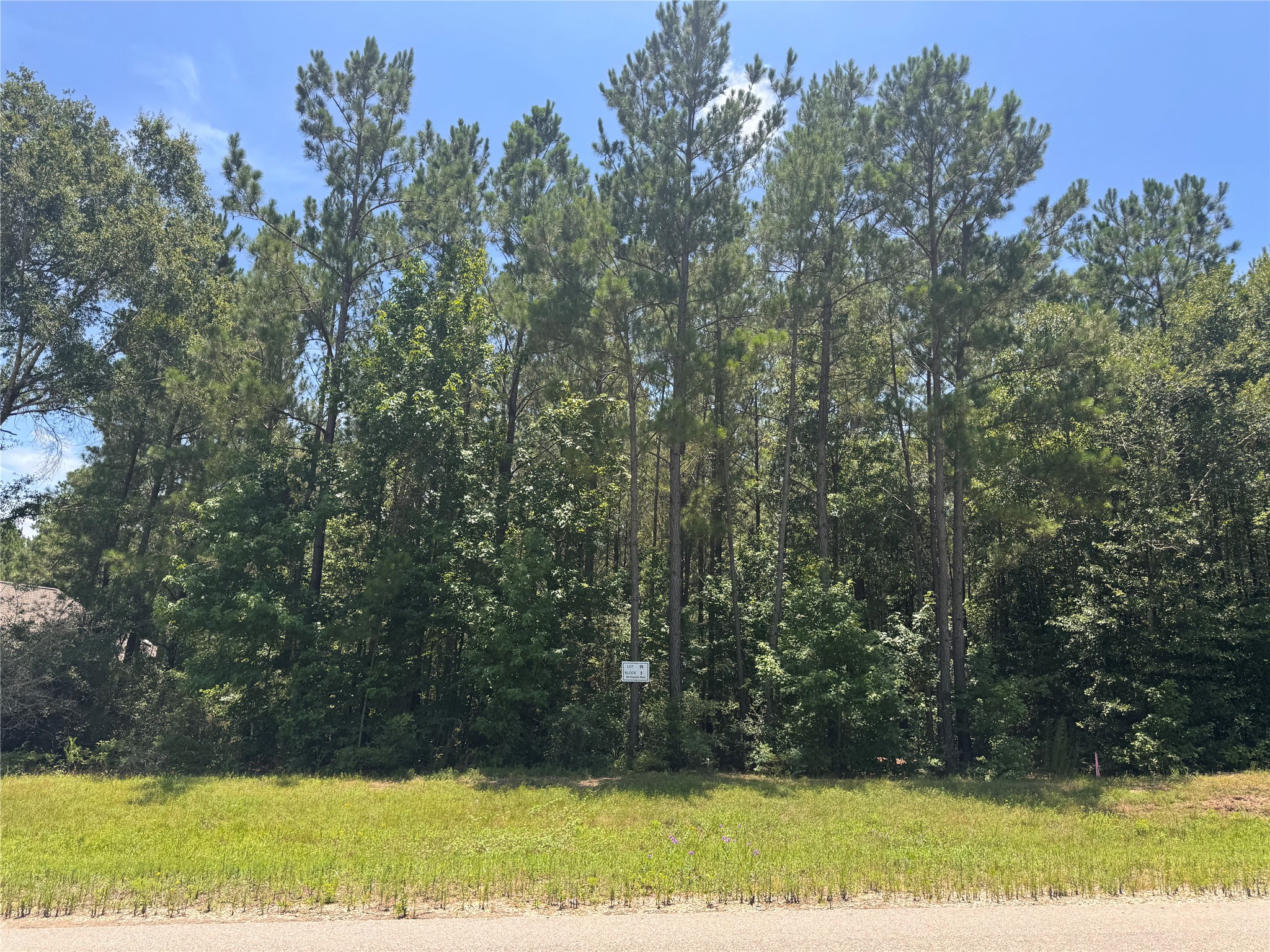 94 Coyote Run Property Photo 2