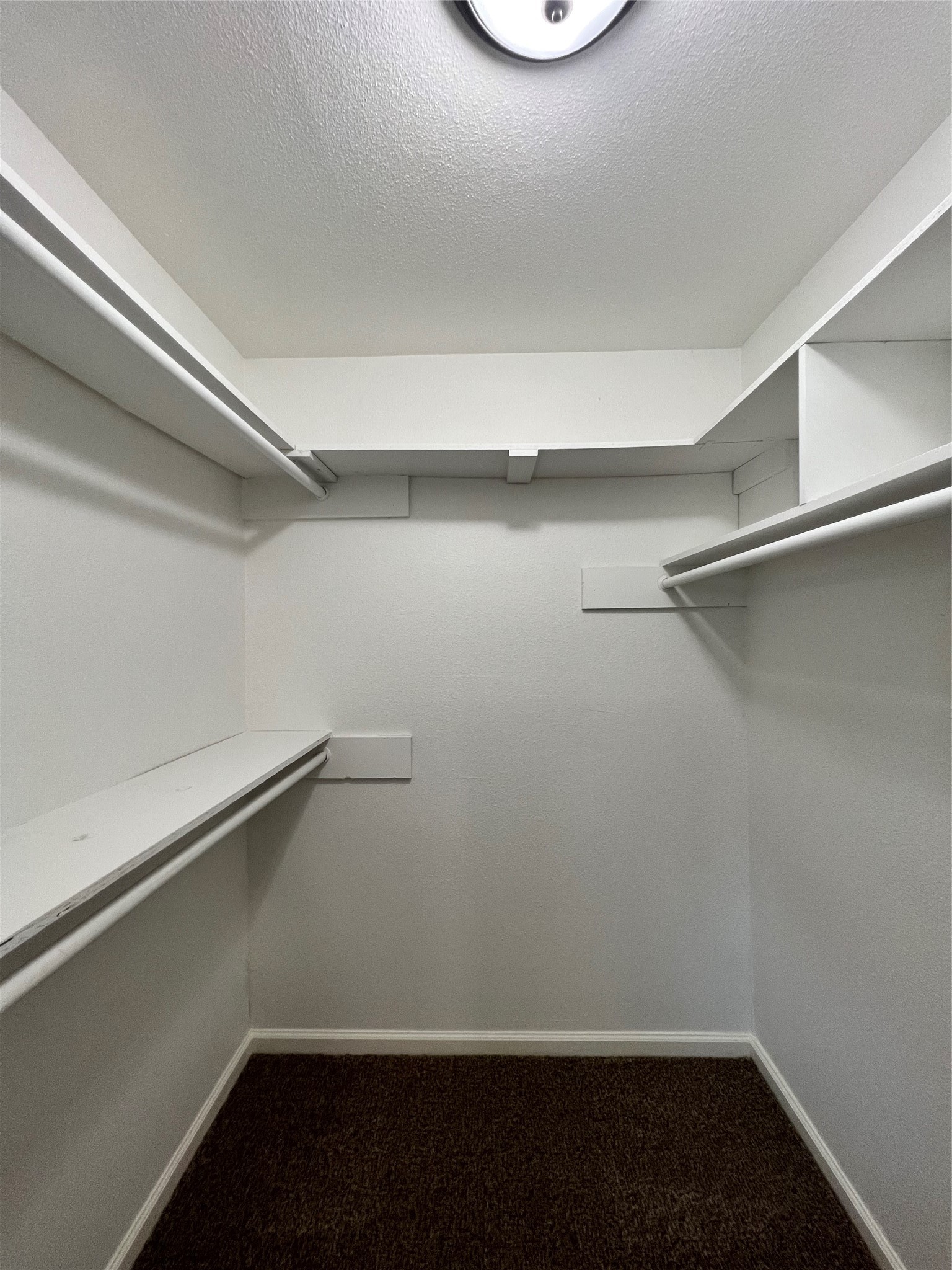 10358 Misty River Drive Property Photo 19