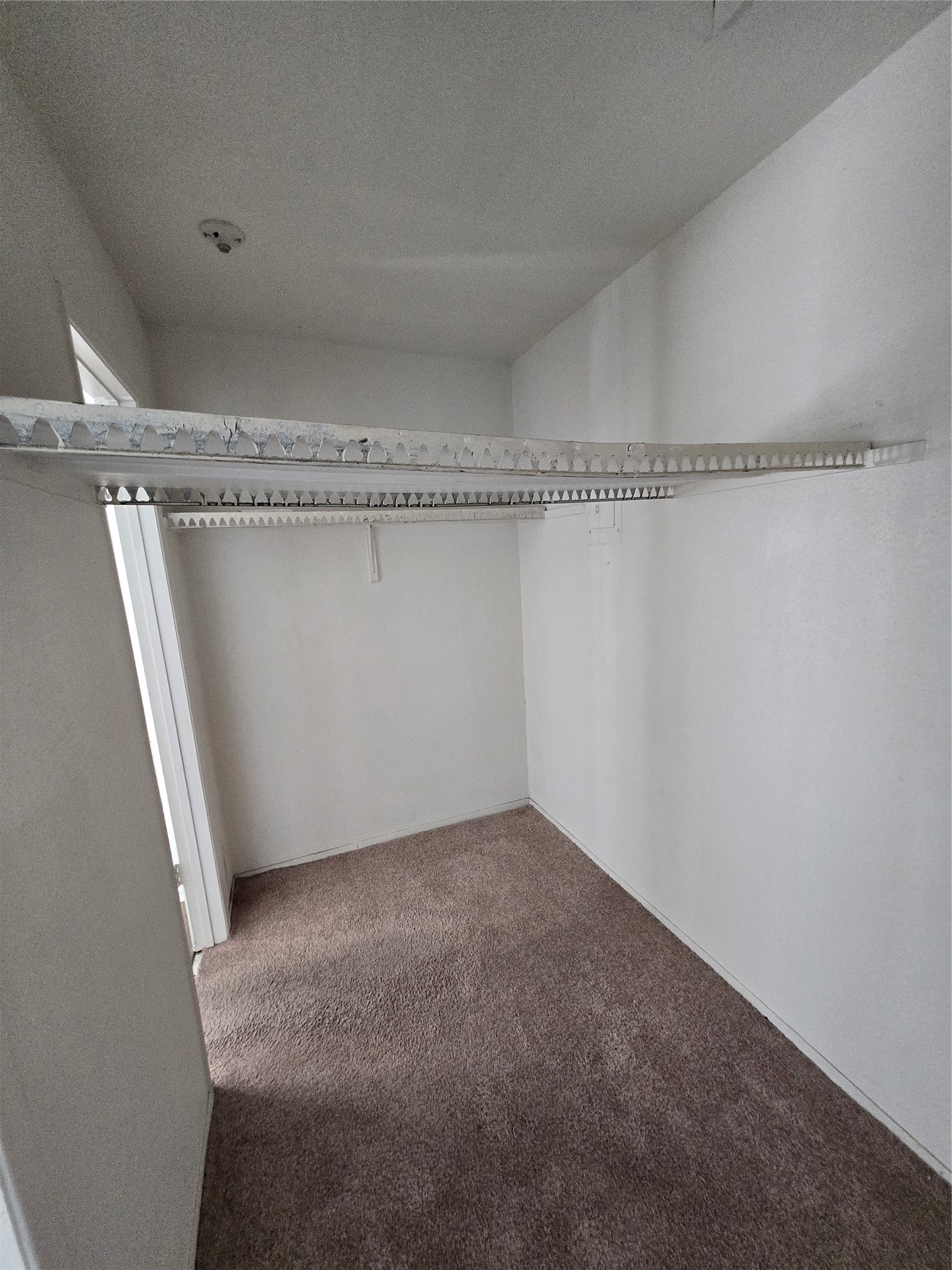 8323 Wilcrest Drive 8004 Property Photo 13