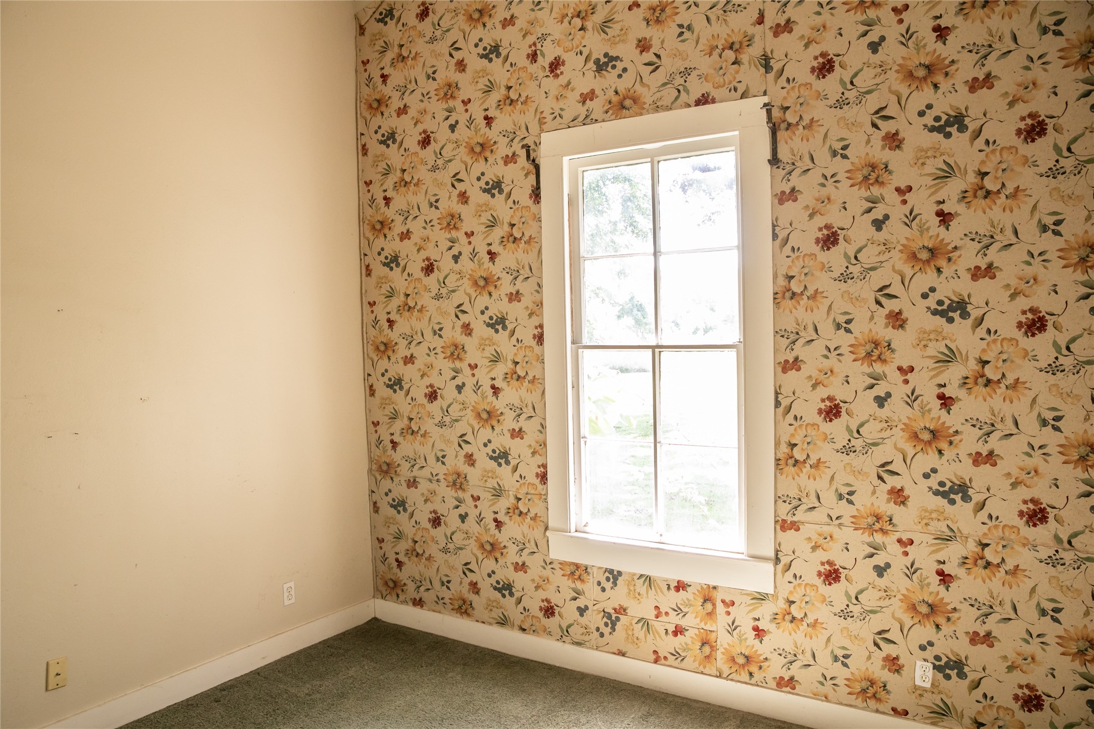 1004 Norris Street Property Photo 18