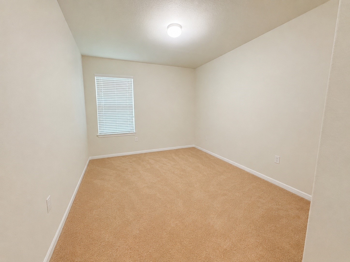 9927 Orchid Spring Lane Property Photo 12