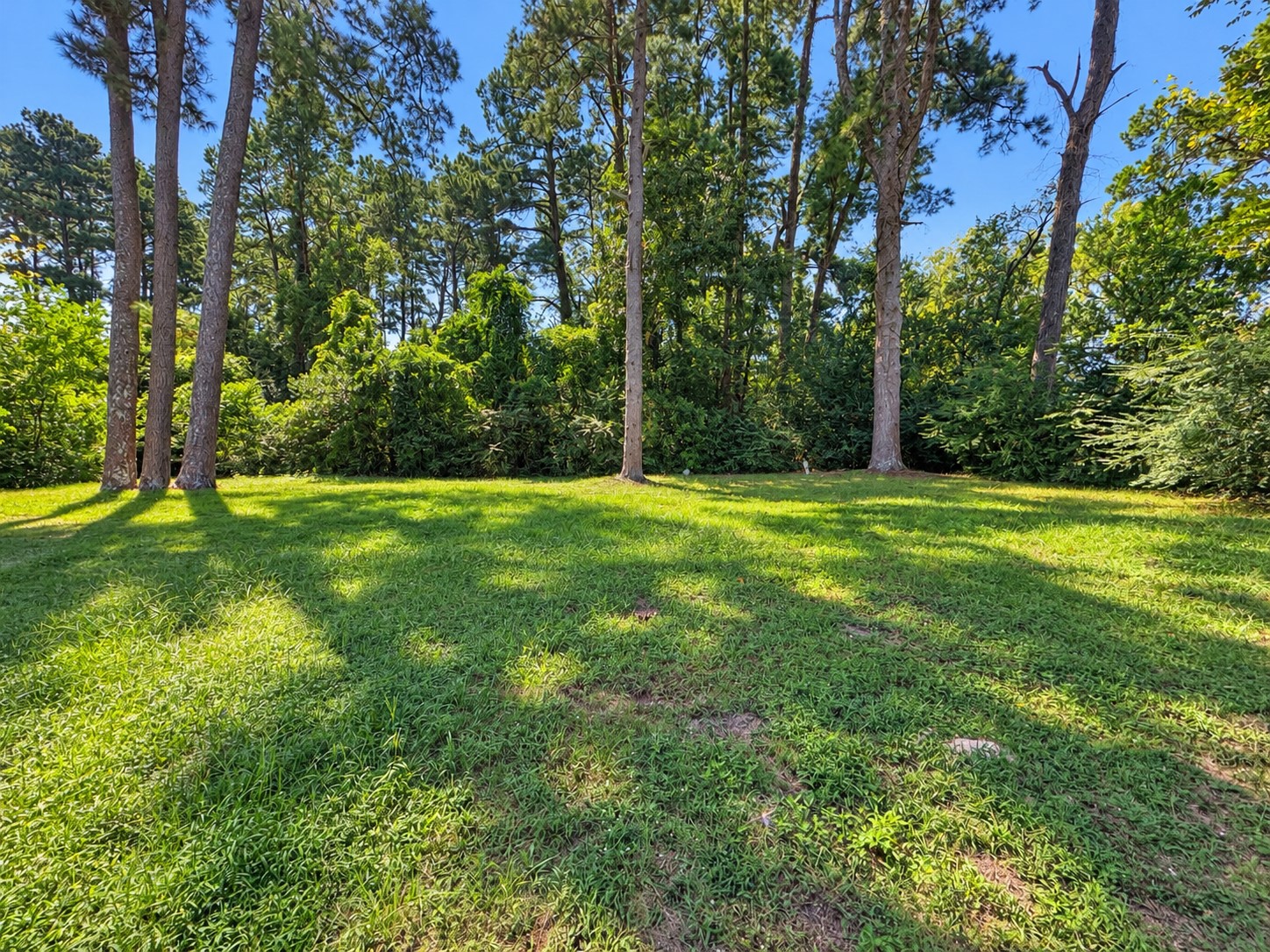 1413 Virginia Avenue Property Photo 3