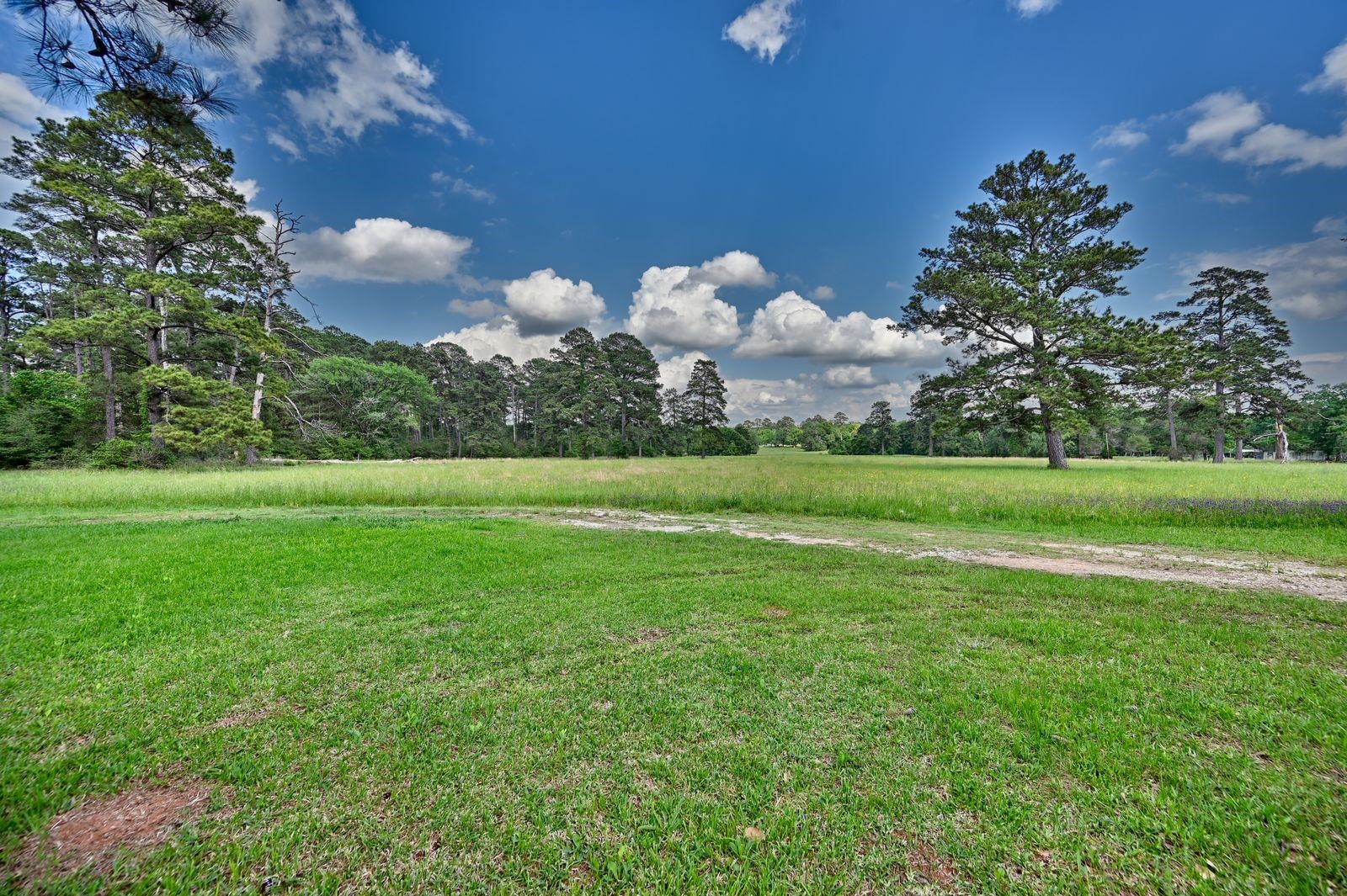 20359 Fm 1791 Road Property Photo 26