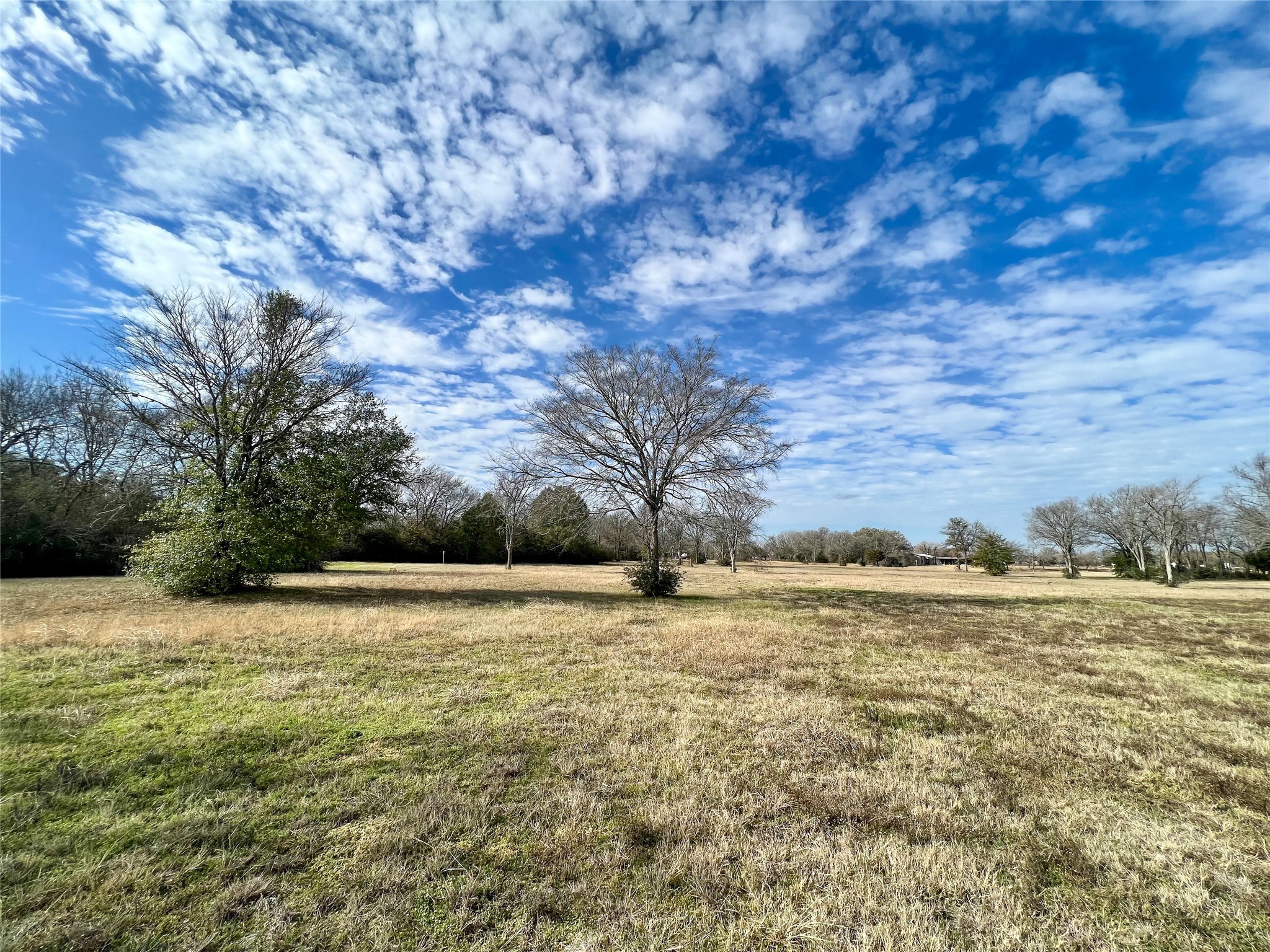 6.675 Acres Sh 6 S Property Photo 3