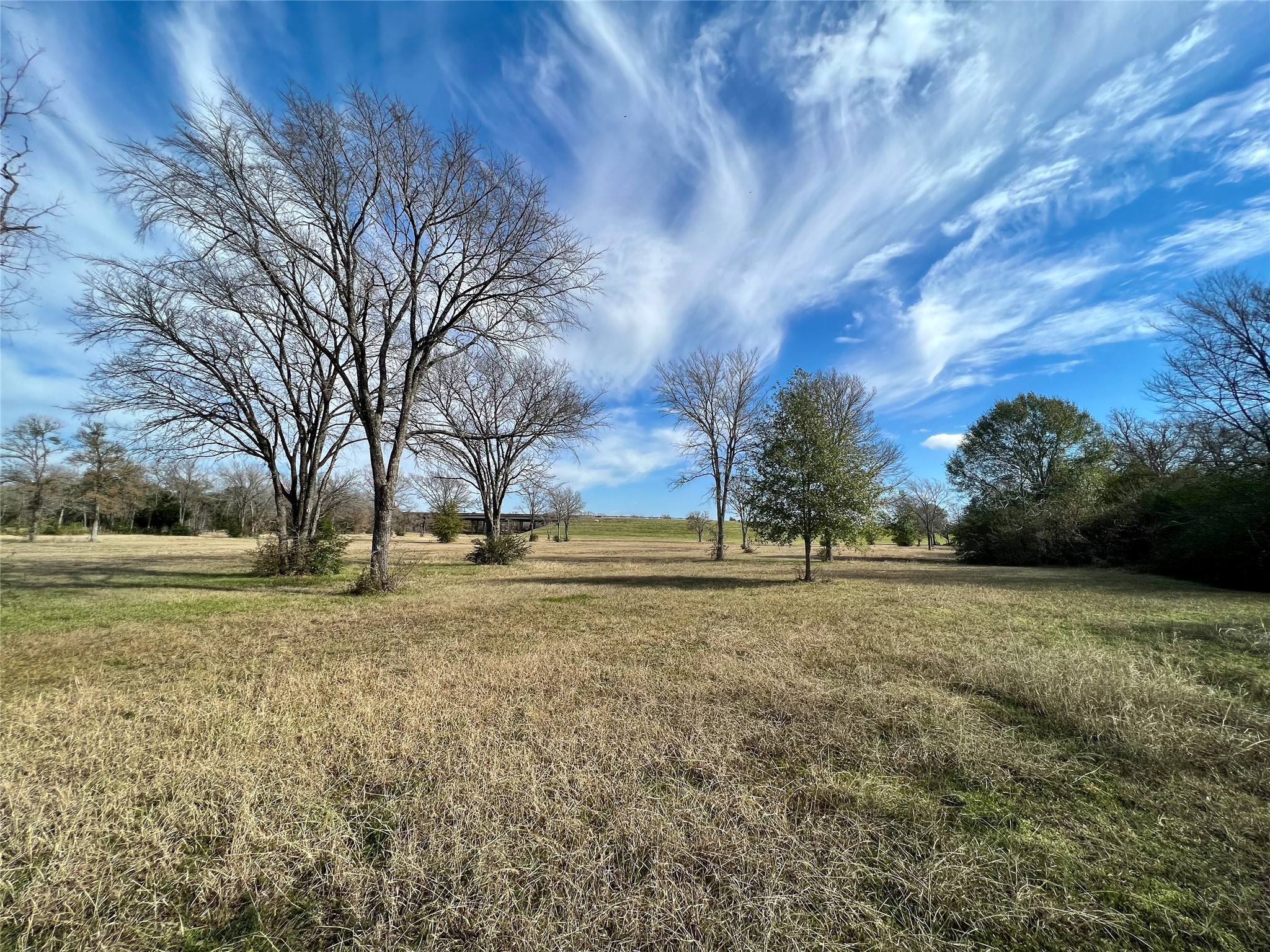 6.675 Acres Sh 6 S Property Photo 8
