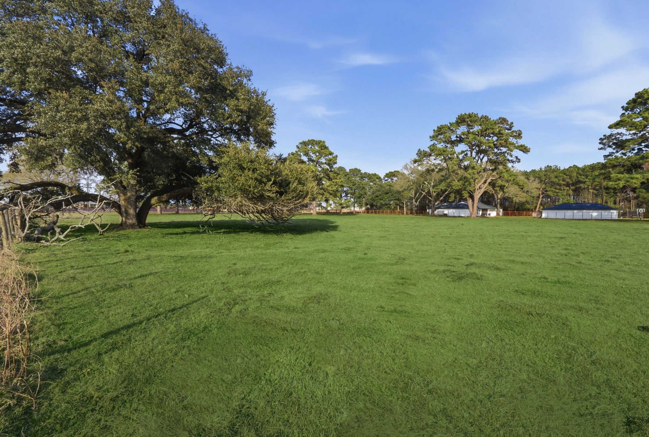 25404 Decker Prairie Rosehill Road Property Photo 22