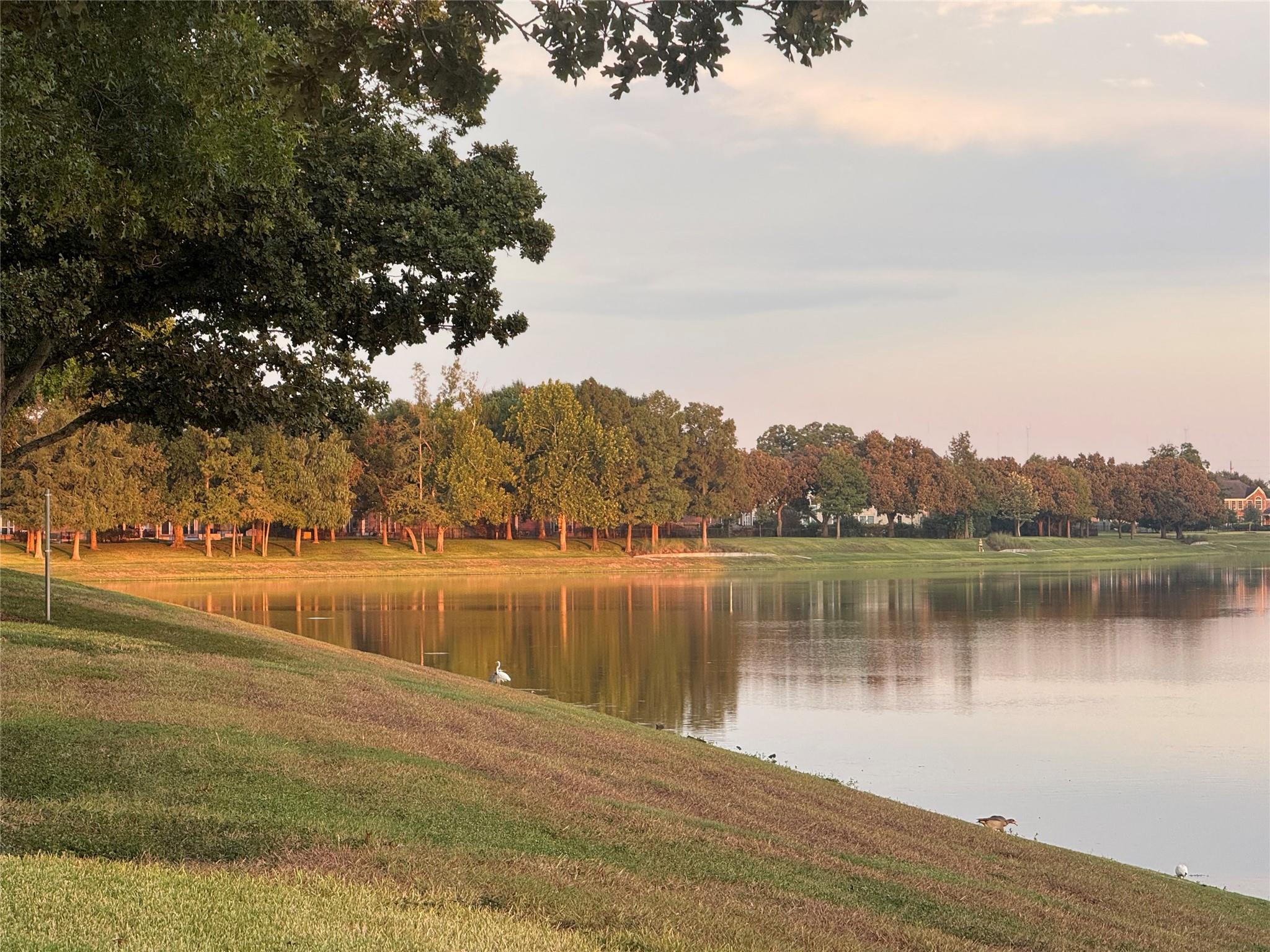 4514 Buffalo Lake Court Property Photo 19