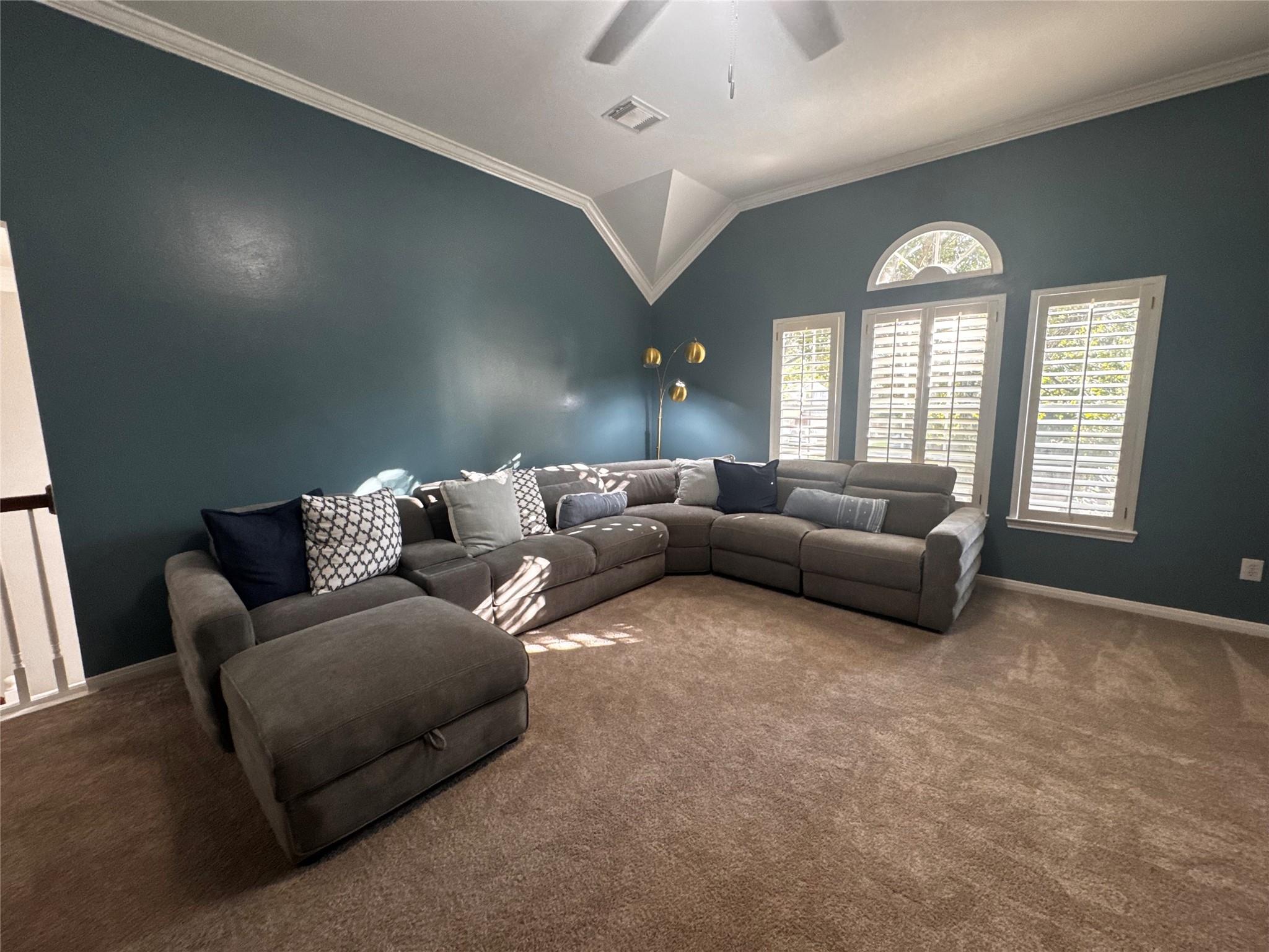 4514 Buffalo Lake Court Property Photo 23
