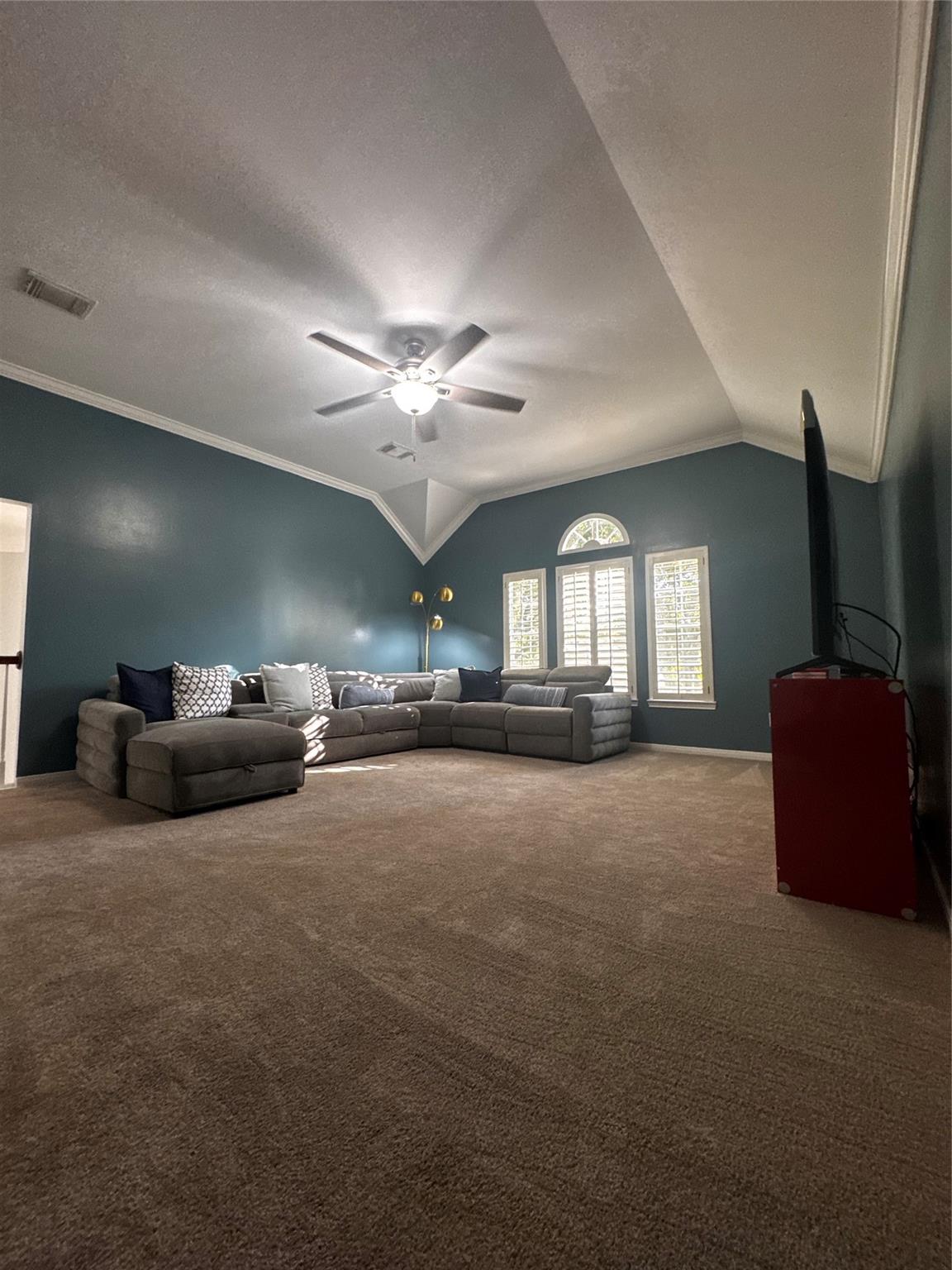 4514 Buffalo Lake Court Property Photo 44