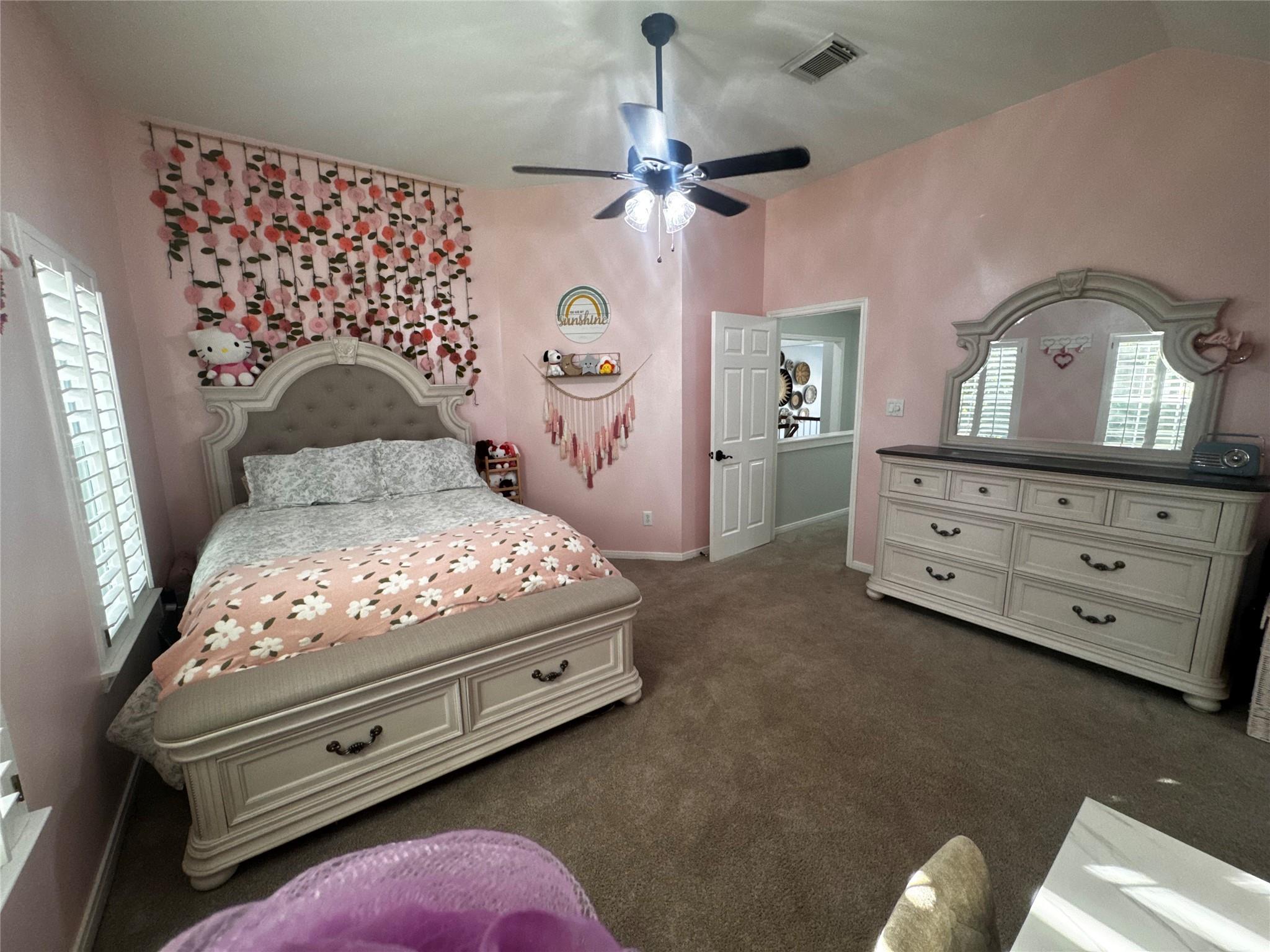 4514 Buffalo Lake Court Property Photo 47