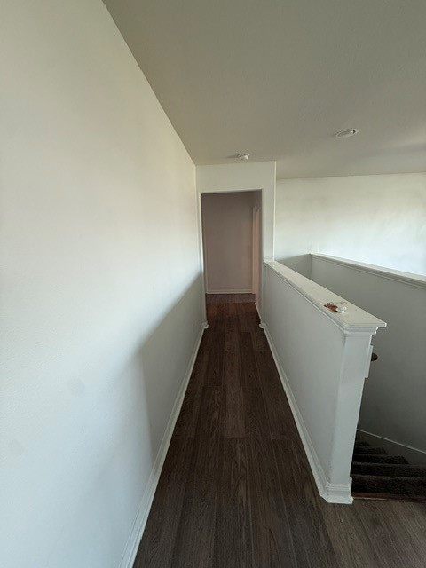 17335 Osprey Forest Drive Property Photo 23