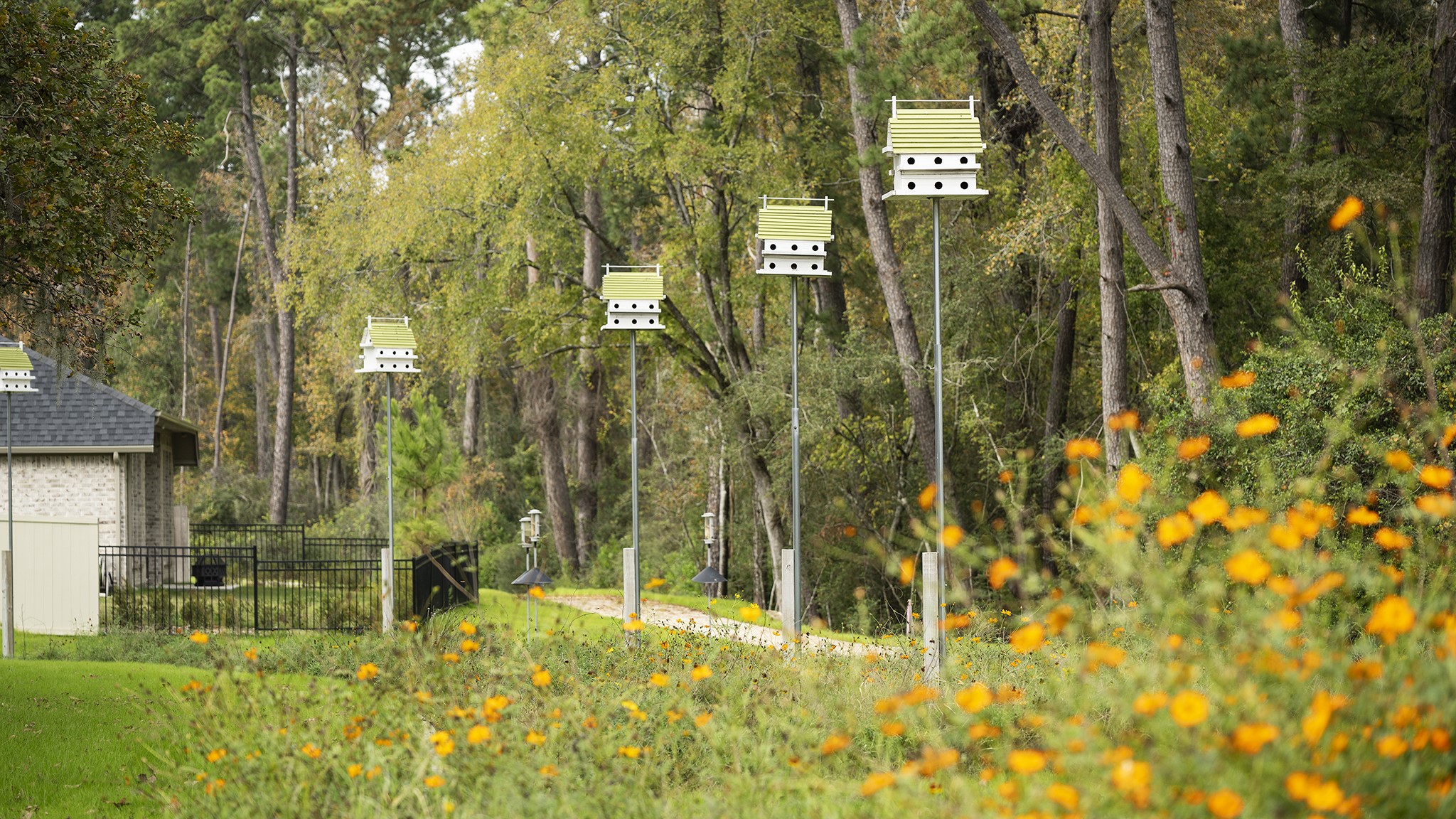 517 Red Eyed Vireo Court Property Photo 5