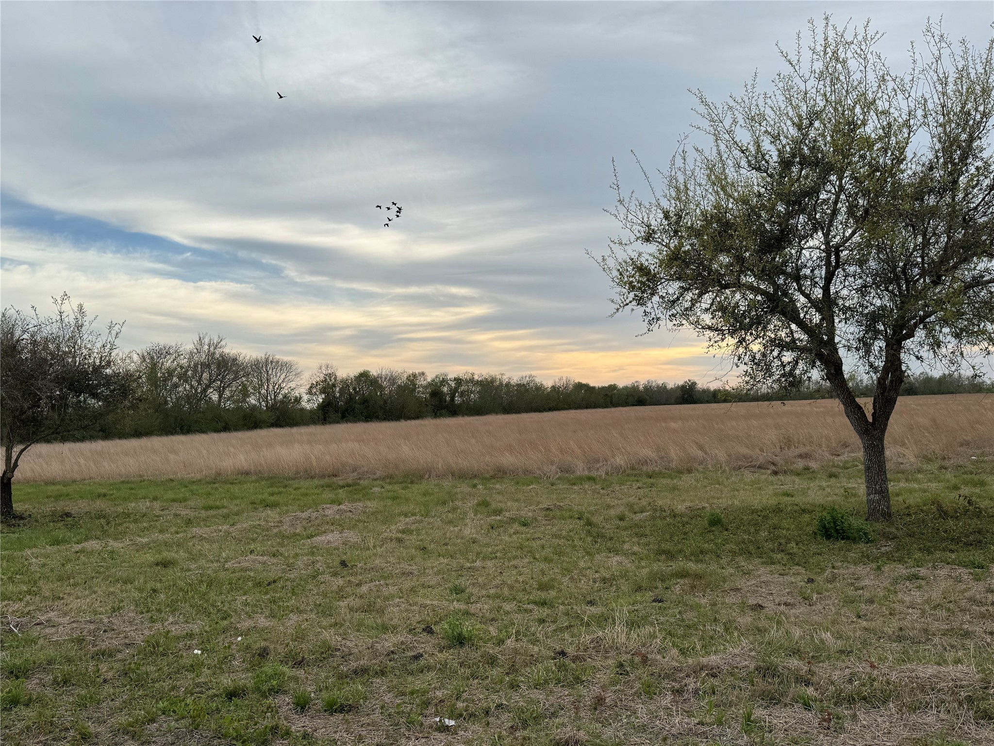 0 County Road 46 Property Photo 1