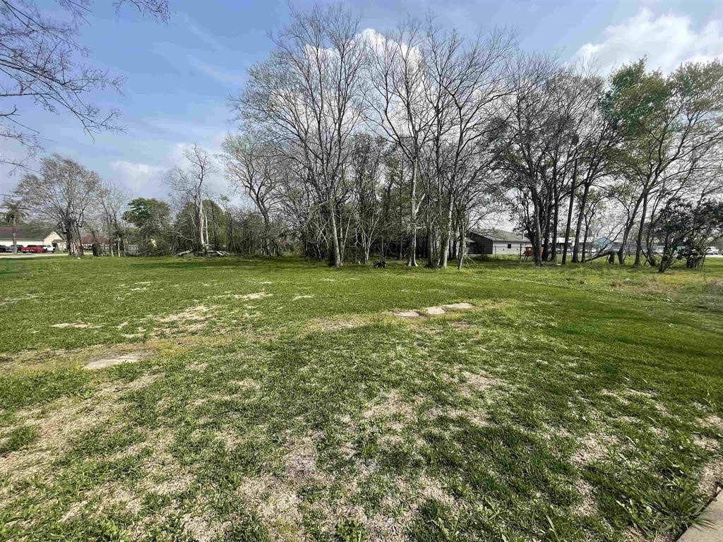 236 Oakland Street Property Photo 2