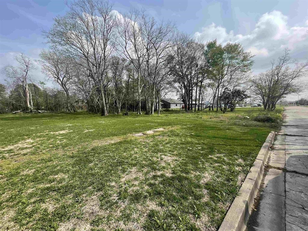 236 Oakland Street Property Photo 4