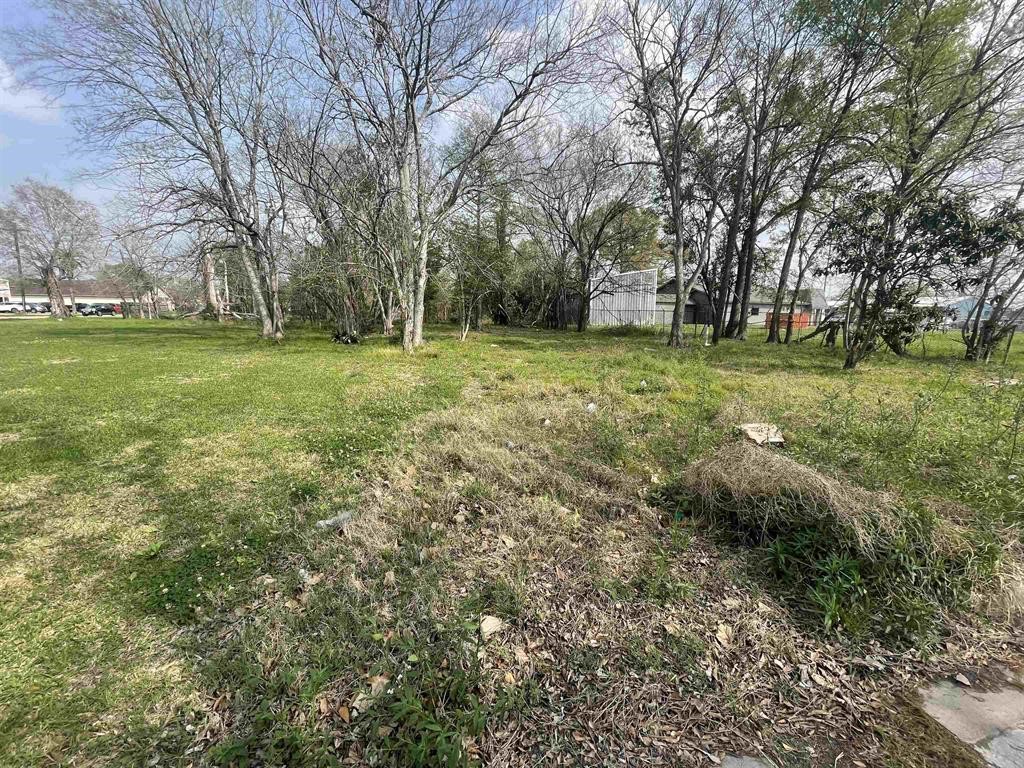 236 Oakland Street Property Photo 5