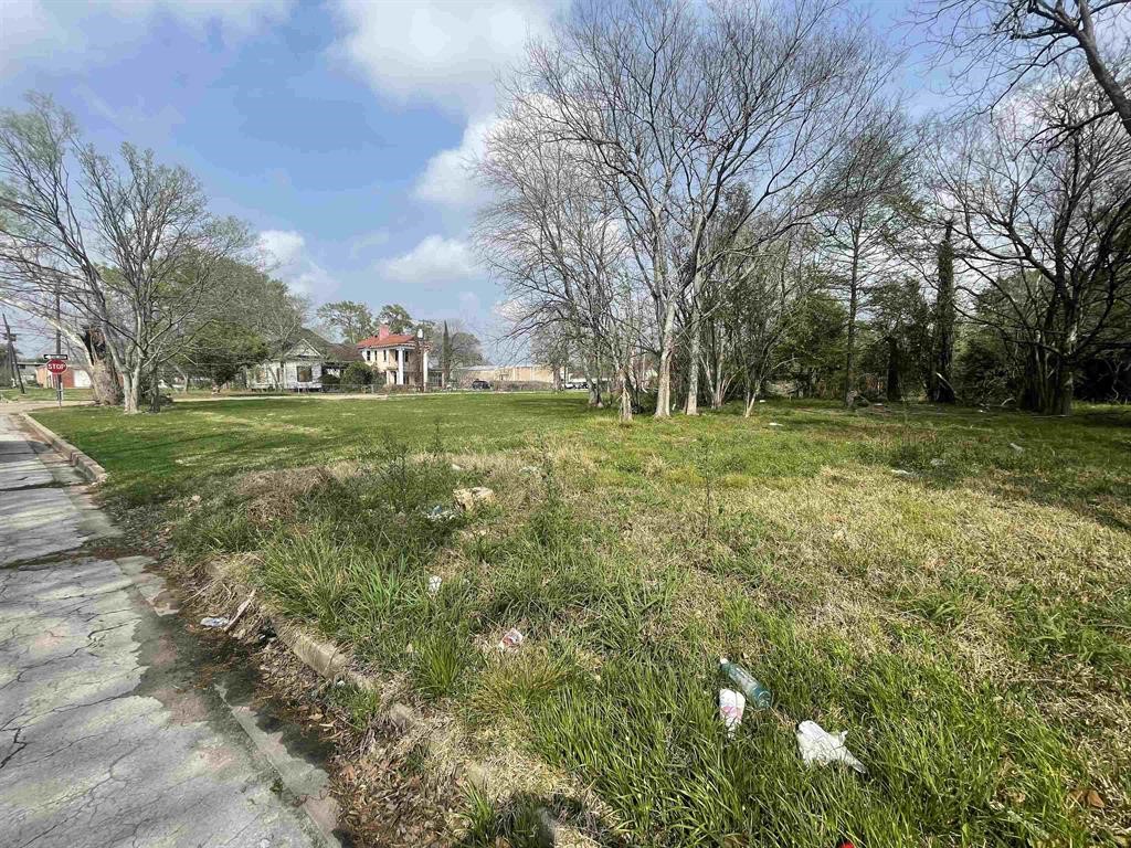 236 Oakland Street Property Photo 6