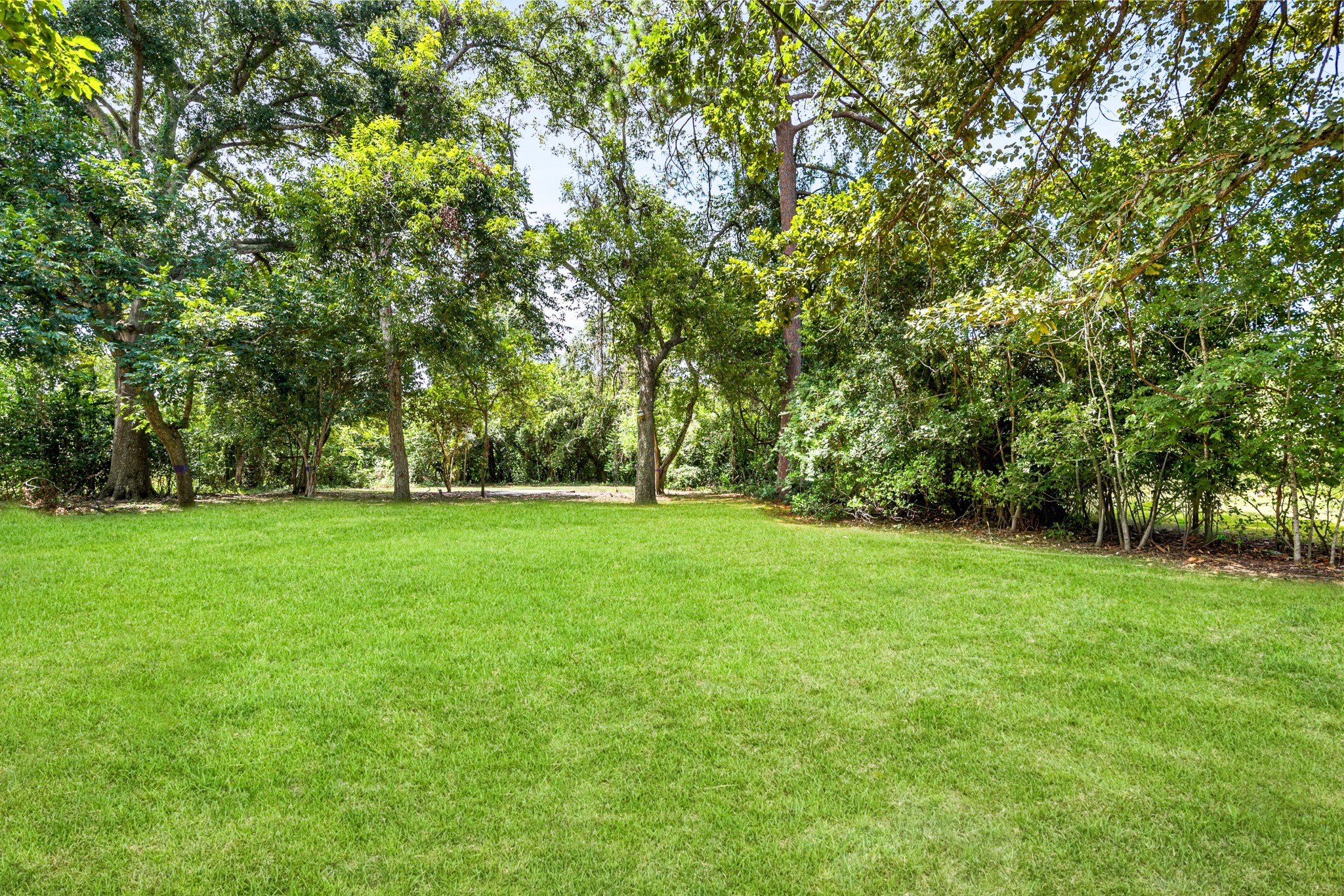 703 Newton Drive Property Photo 40