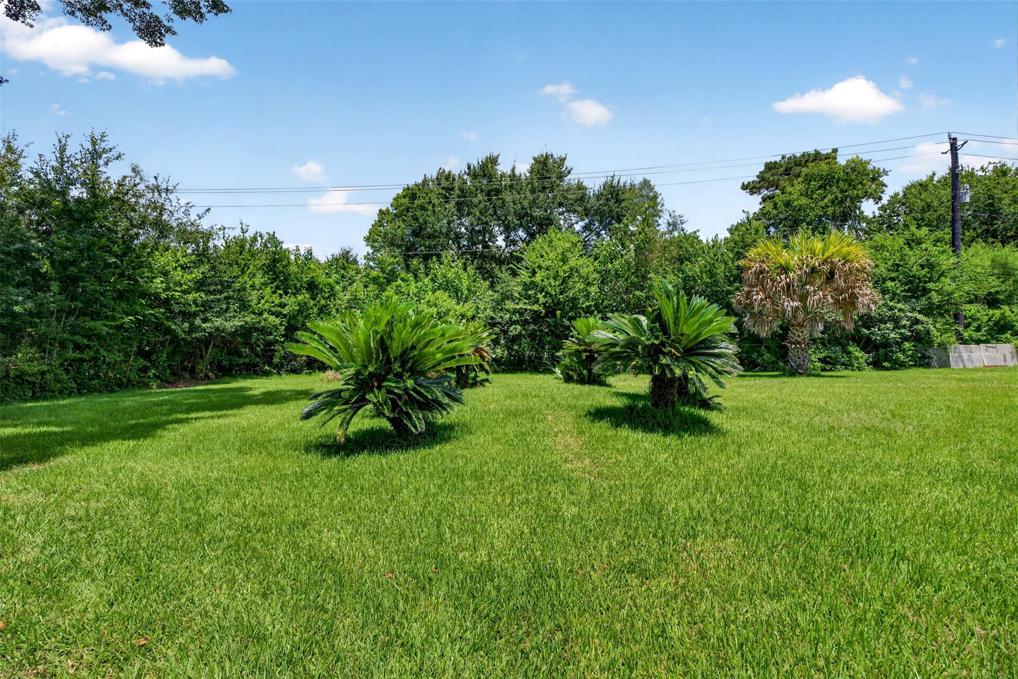 7351 Brace Street, Houston Tx 77061 Property Photo 43