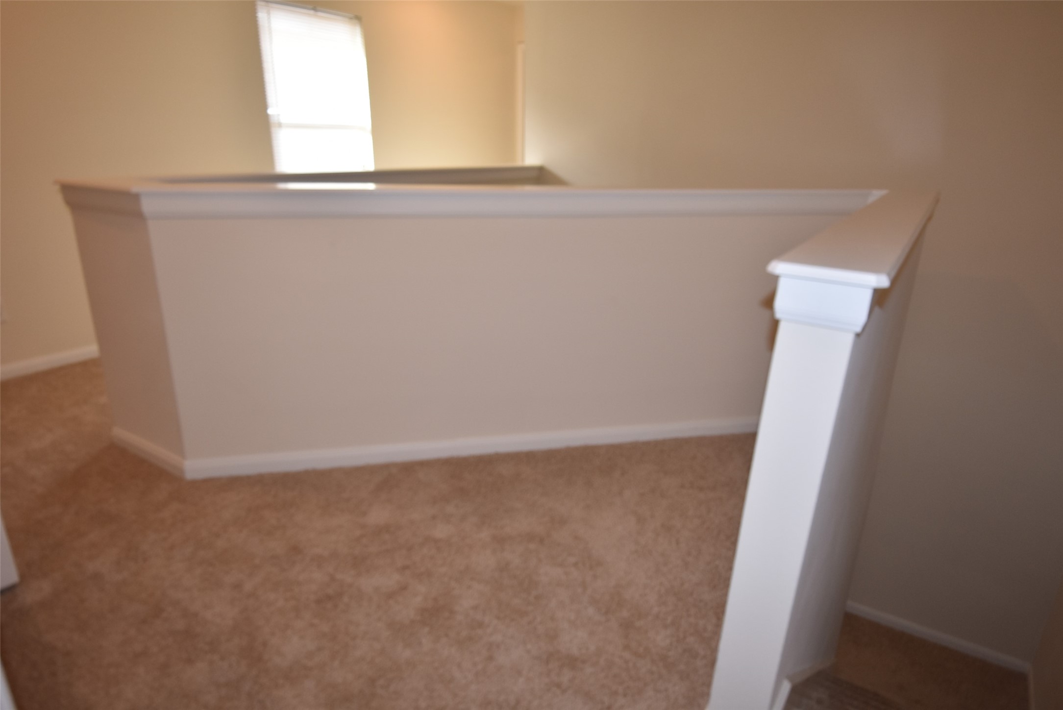 10069 Sharpton Drive Property Photo 12