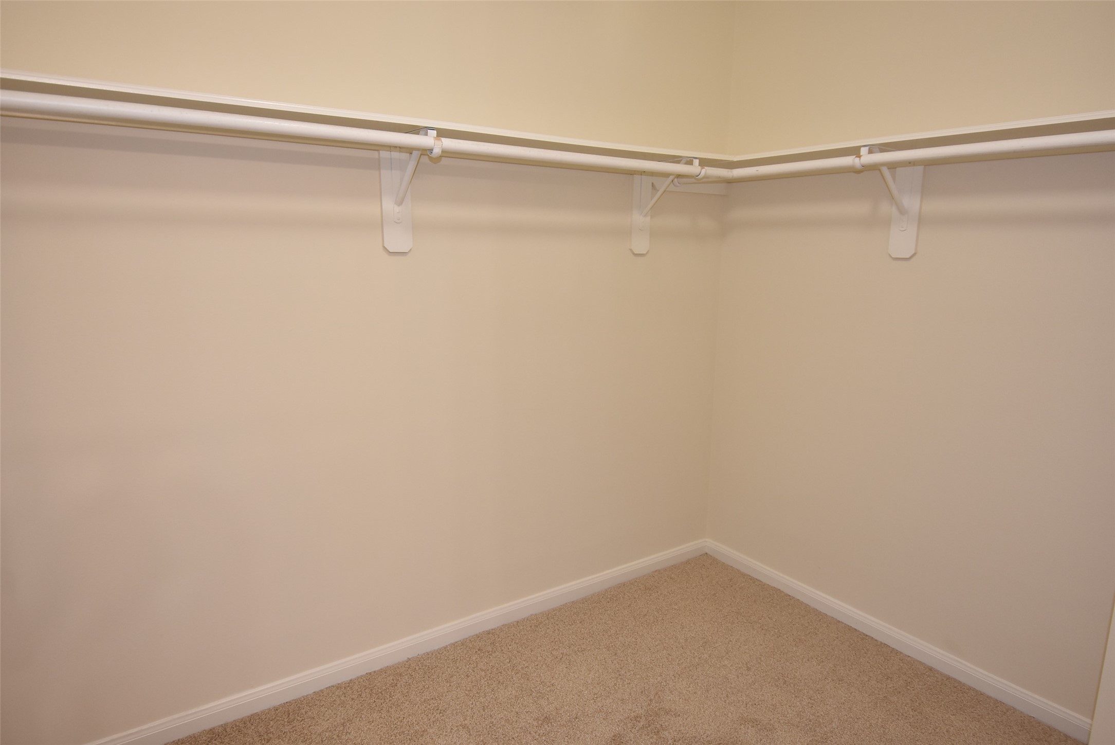 10069 Sharpton Drive Property Photo 18