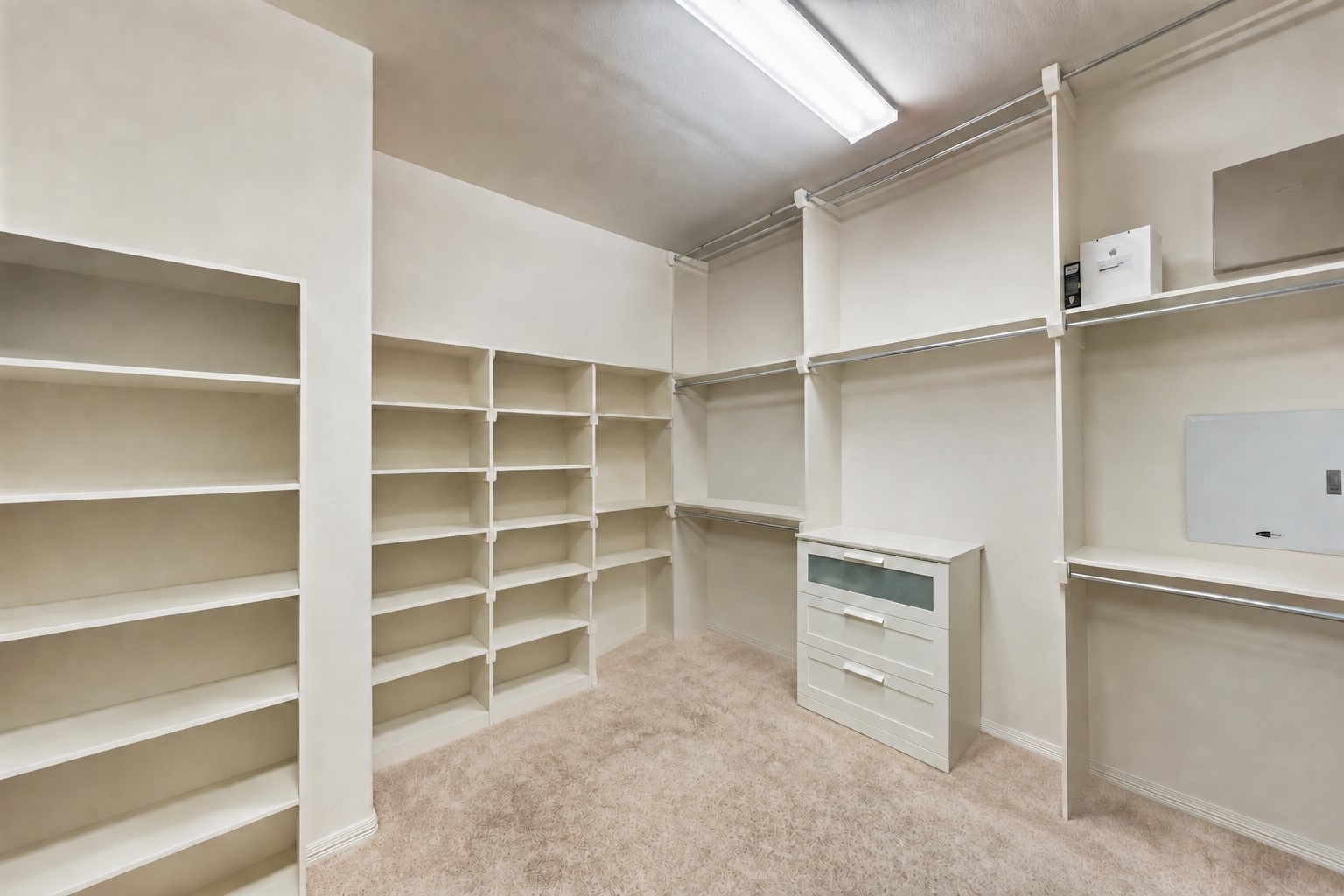 8126 Threadtail Street Property Photo 14