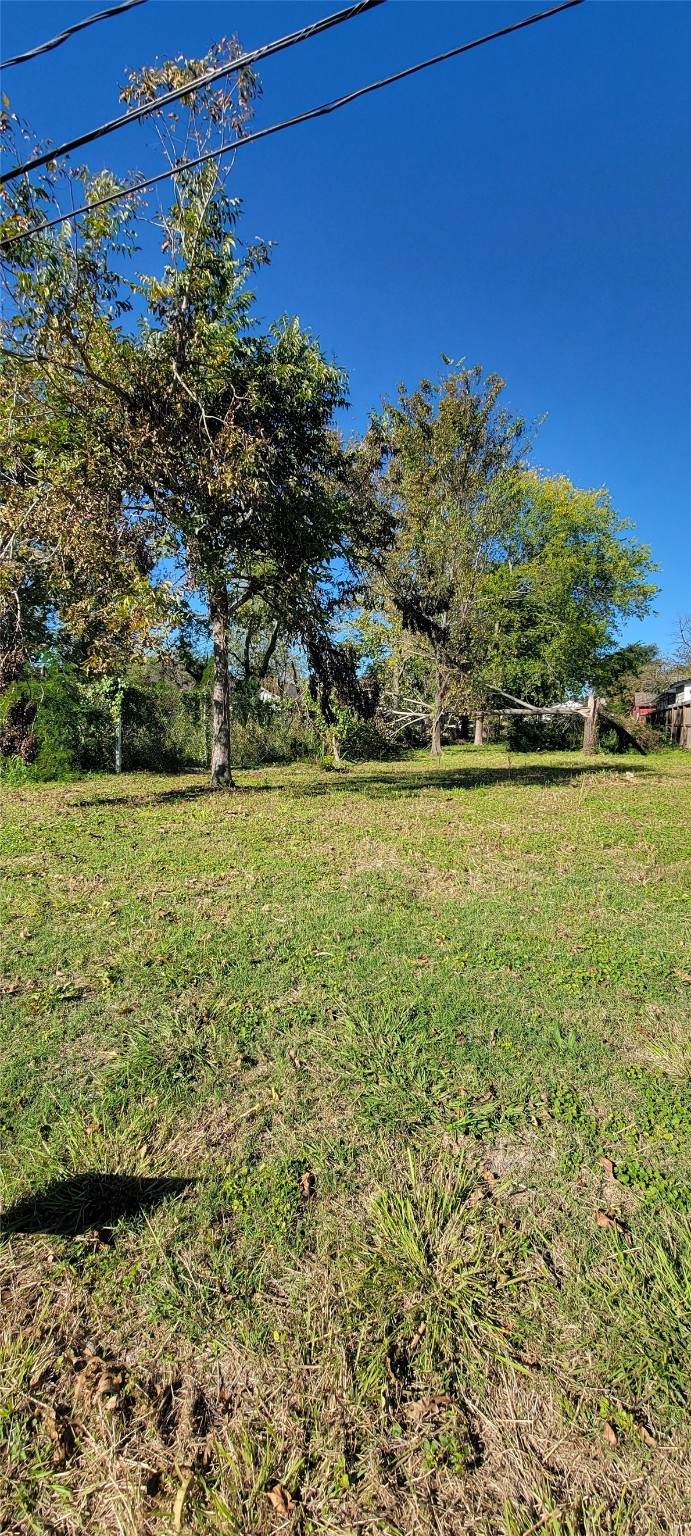 917 North Loop Property Photo 2