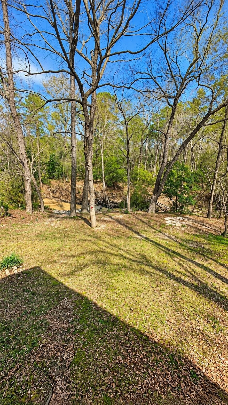 21173 Shakey Hollow Property Photo 9