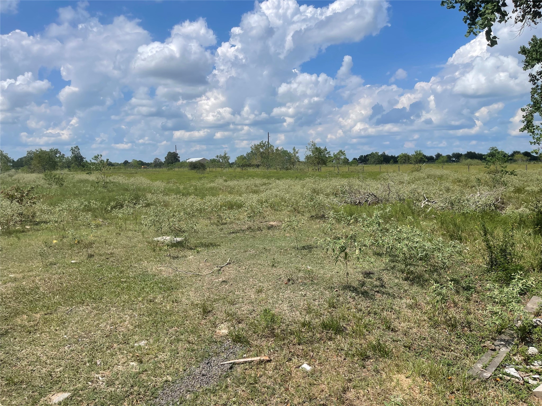 5328 Fm 3013 Road Property Photo 4