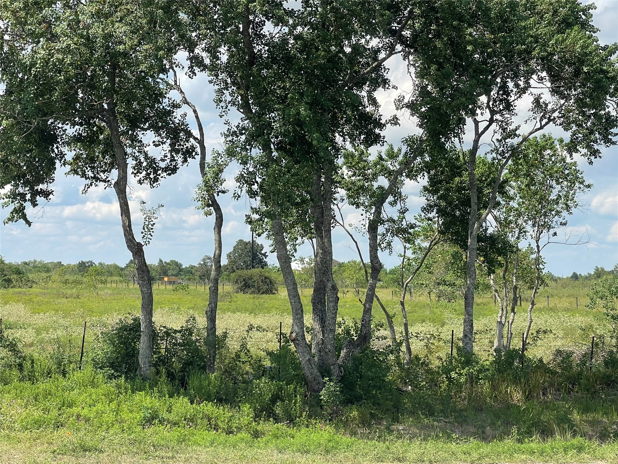 5328 Fm 3013 Road Property Photo 9