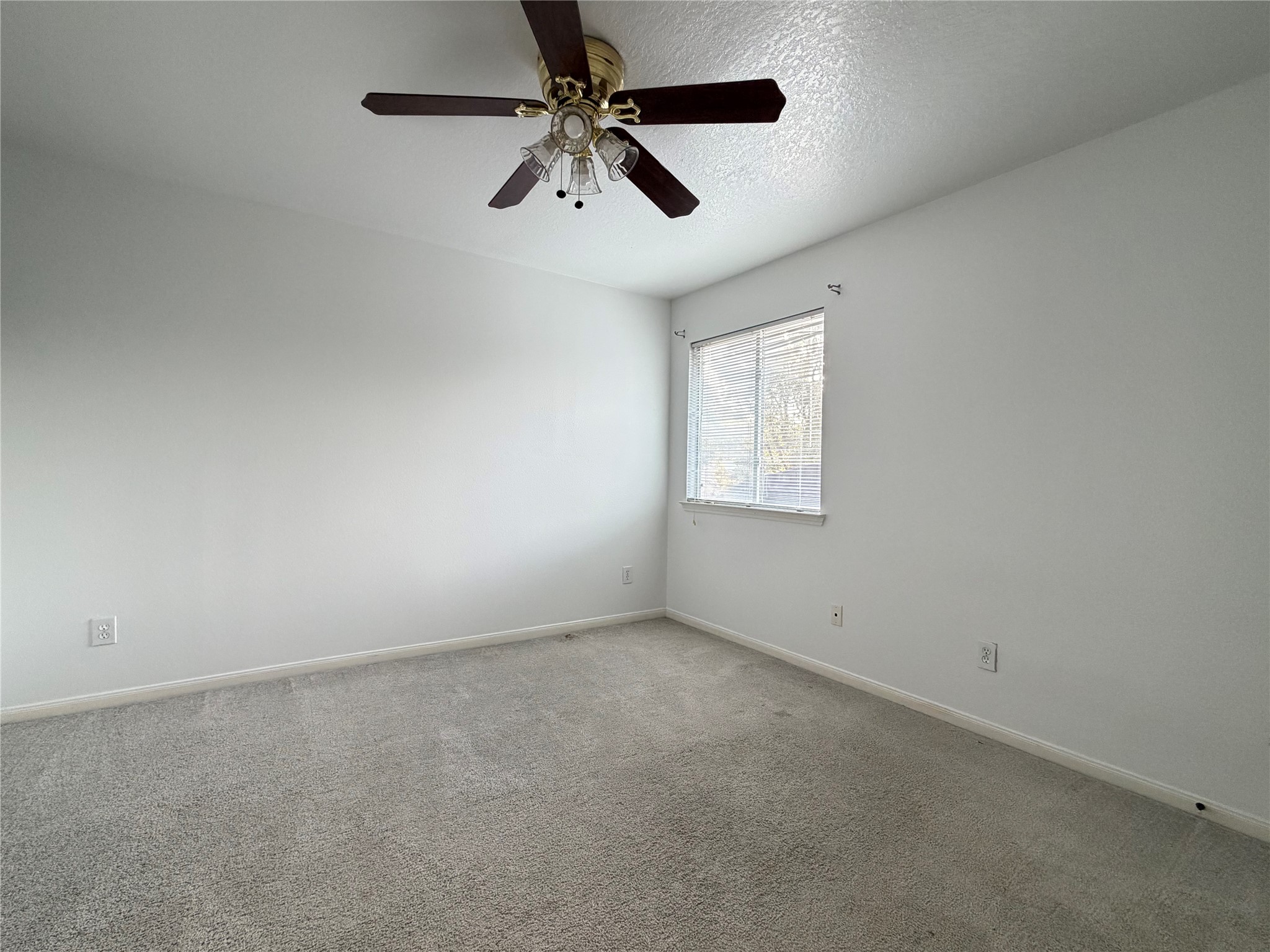 25246 Spring Iris Lane Property Photo 14