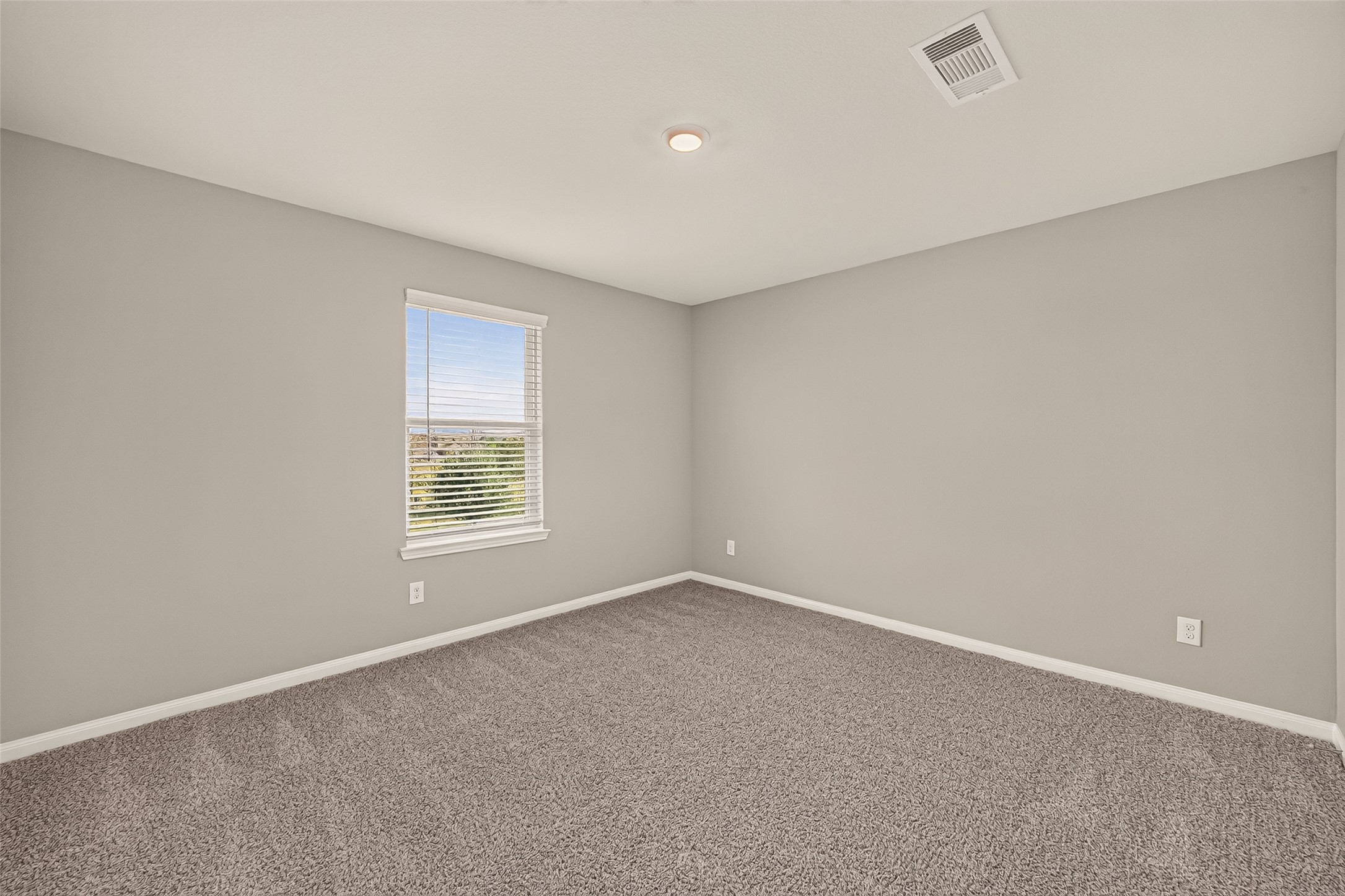 1013 Western Rose Drive Property Photo 25