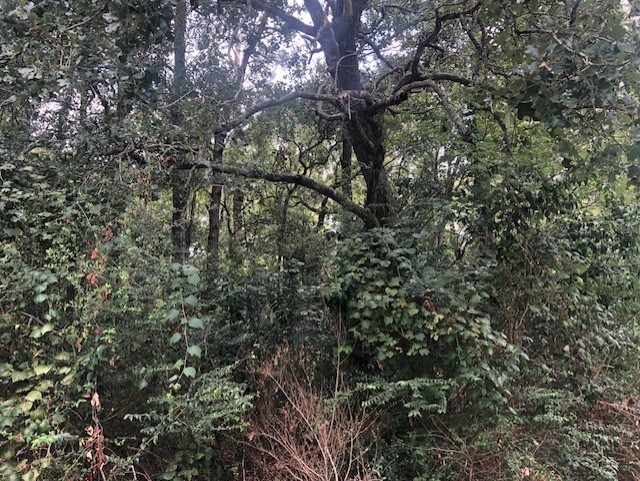0000 Moye Rd