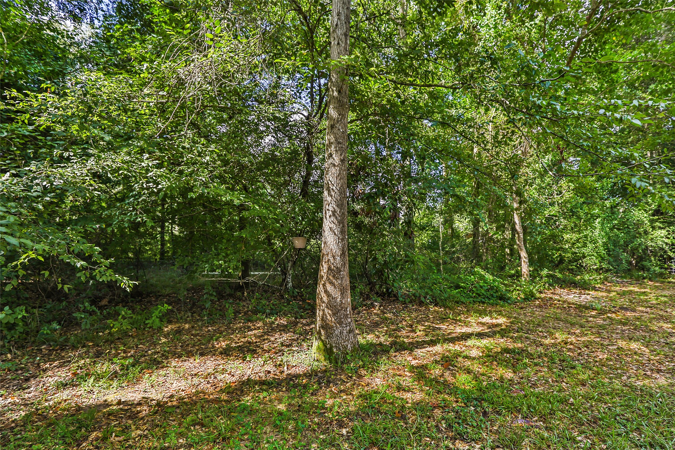 26328 Cooperstown Way Property Photo 6