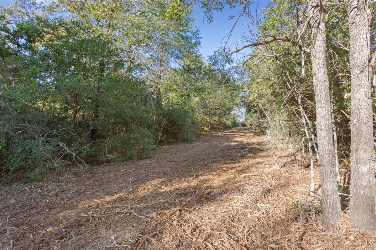 00 Fm 1246 Property Photo 1