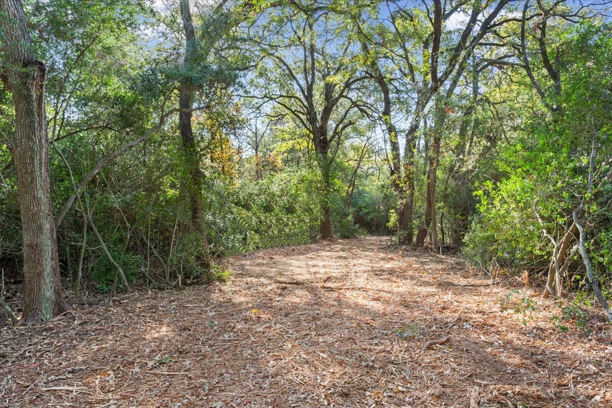 00 Fm 1246 Property Photo 4