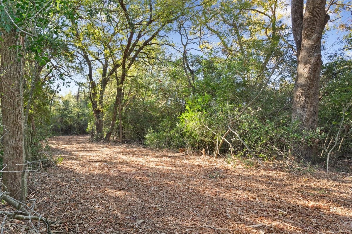 00 Fm 1246 Property Photo 5