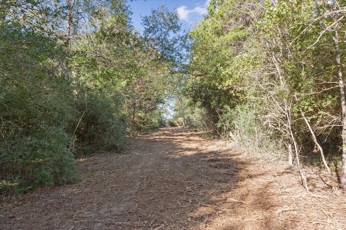 00 Fm 1246 Property Photo 8