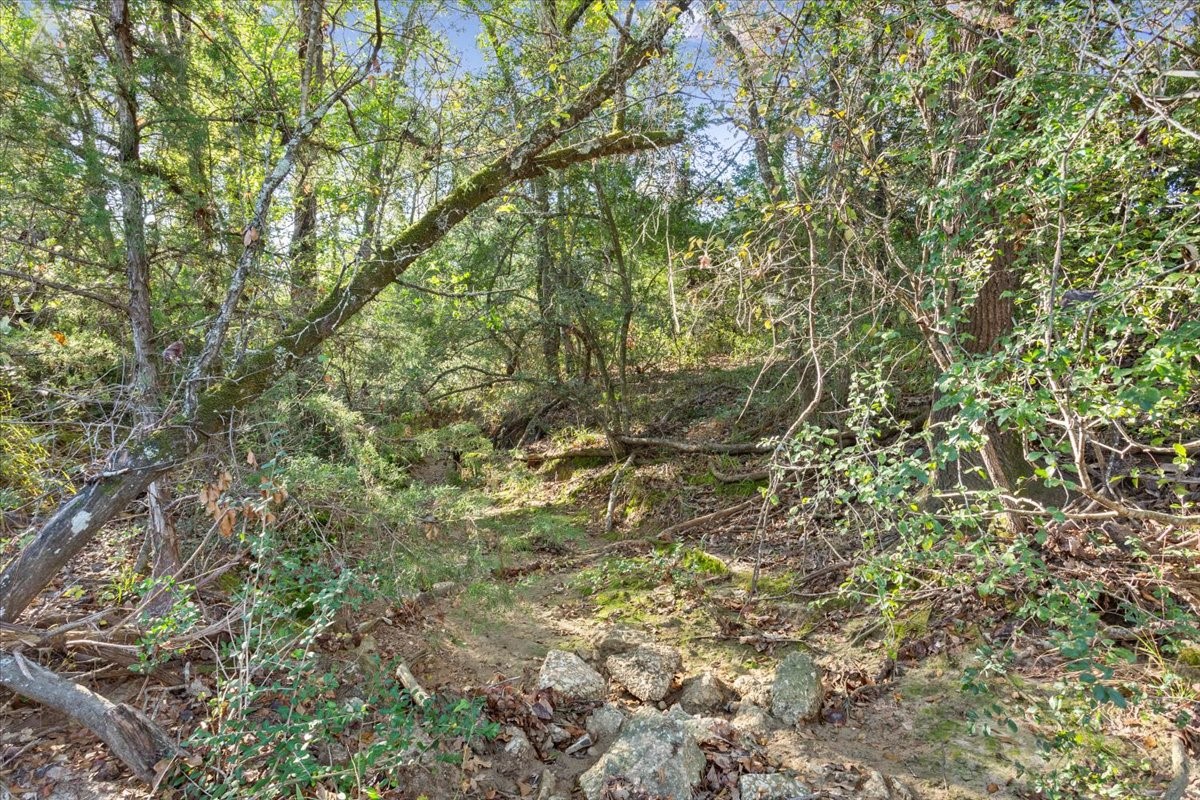 00 Fm 1246 Property Photo 10