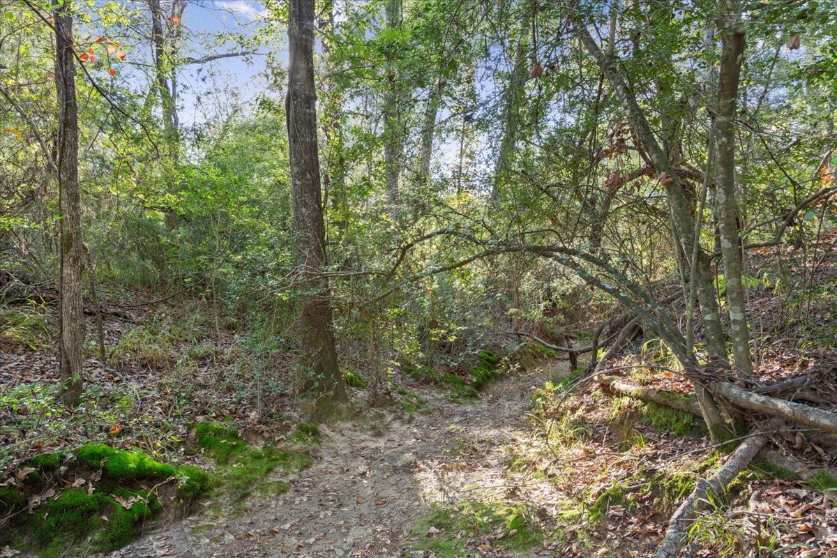 00 Fm 1246 Property Photo 11