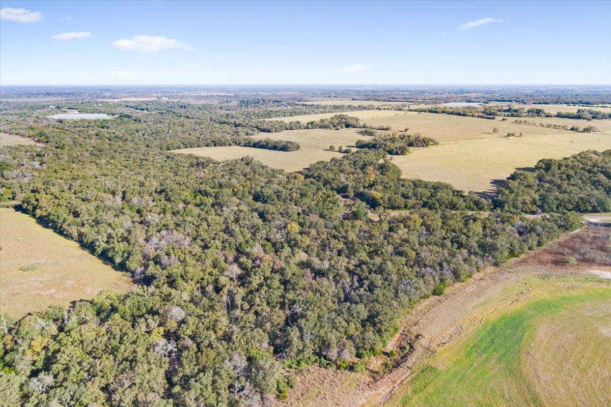 00 Fm 1246 Property Photo 15