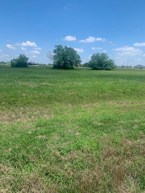 498 Brahman Trail Property Photo 2