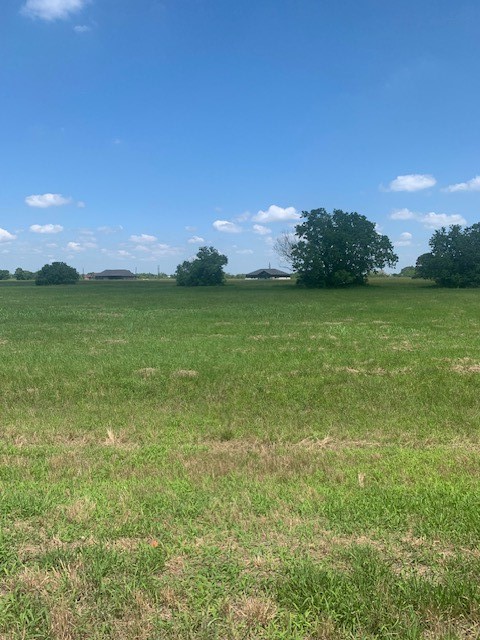 498 Brahman Trail Property Photo 3