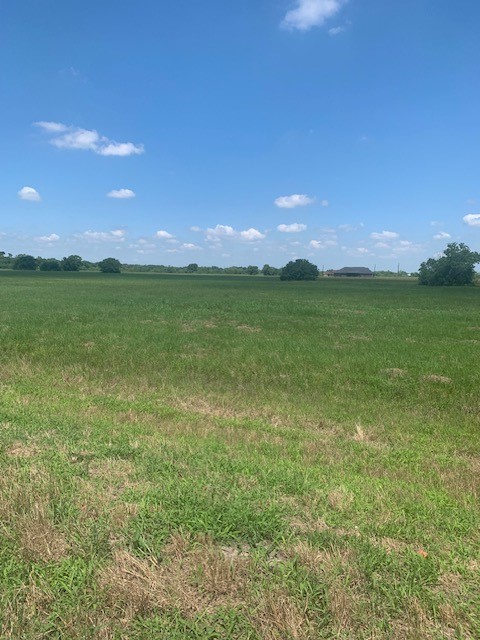 498 Brahman Trail Property Photo 4