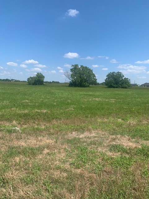498 Brahman Trail Property Photo 5