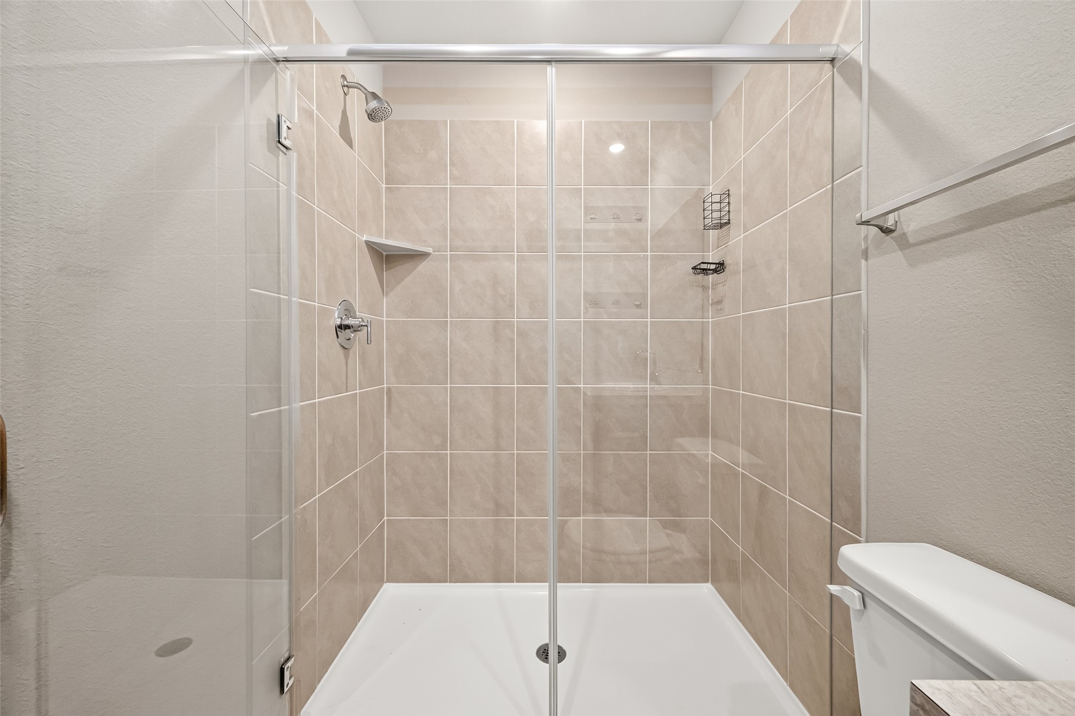 25431 Blue Mistflower Drive Property Photo 27
